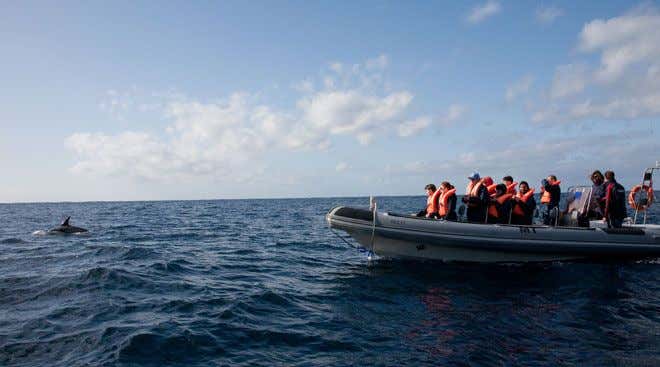 New Scientist. Science news and long reads from expert journalists, covering developments in science, technology, health and the environment on the website and the magazine.