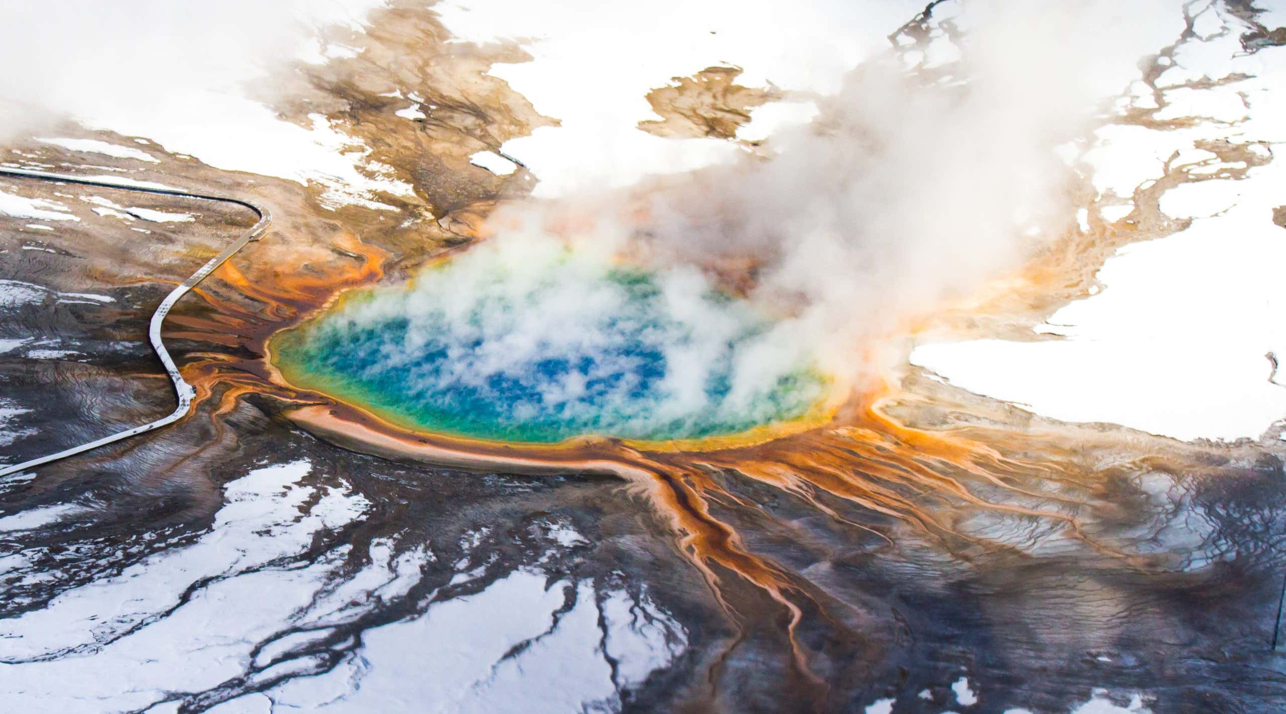 New Scientist. Science news and long reads from expert journalists, covering developments in science, technology, health and the environment on the website and the magazine.