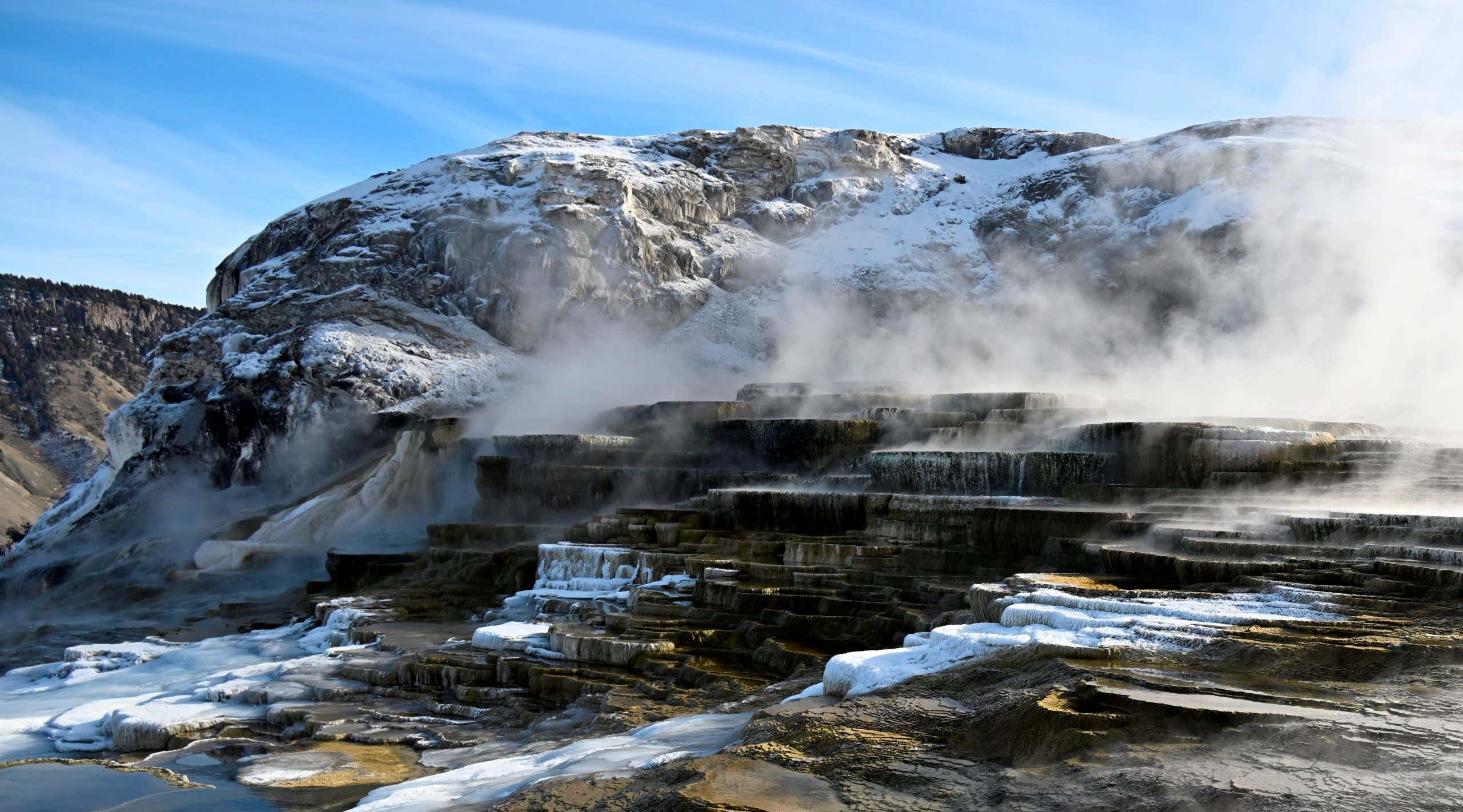 New Scientist. Science news and long reads from expert journalists, covering developments in science, technology, health and the environment on the website and the magazine.