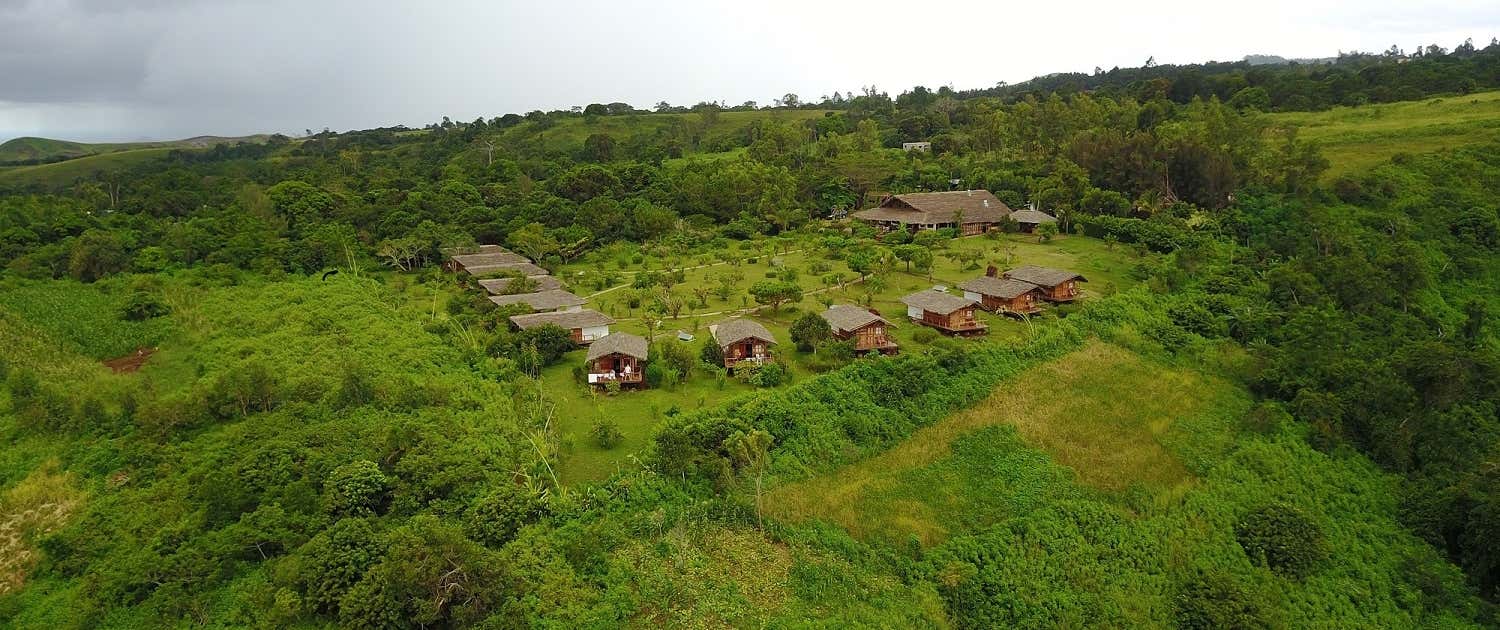 New Scientist. Science news and long reads from expert journalists, covering developments in science, technology, health and the environment on the website and the magazine.