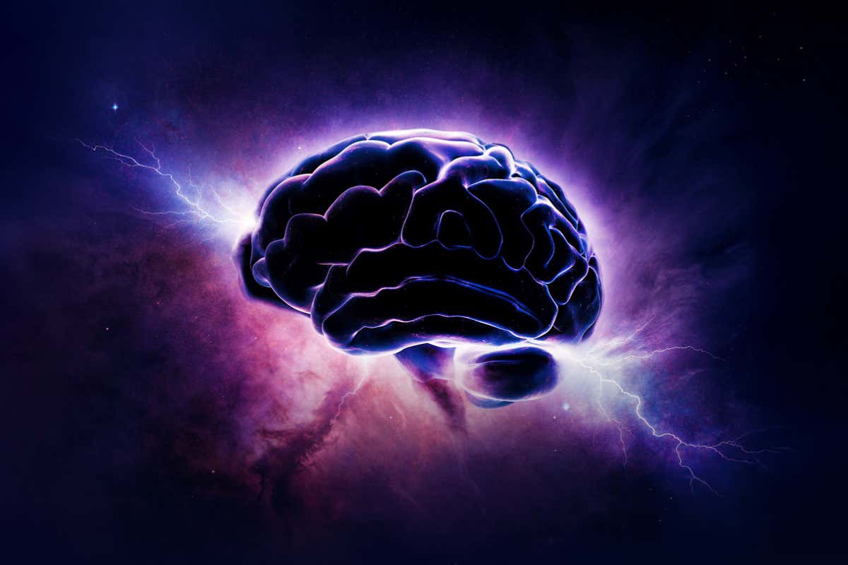 A story of neurons and evolution