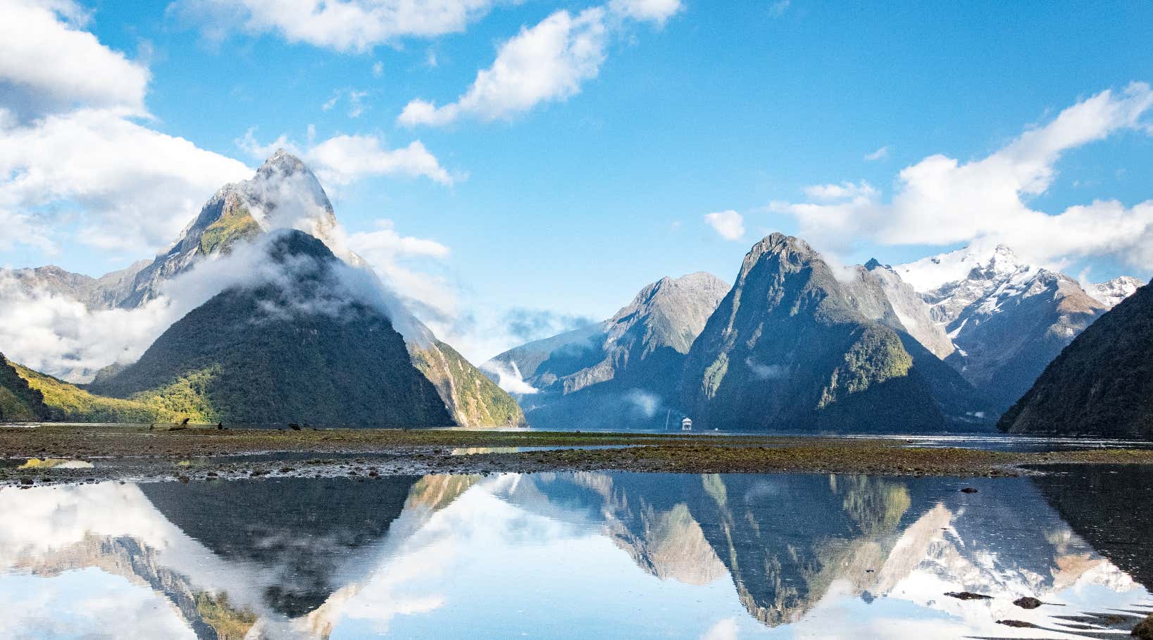 New Scientist. Science news and long reads from expert journalists, covering developments in science, technology, health and the environment on the website and the magazine.