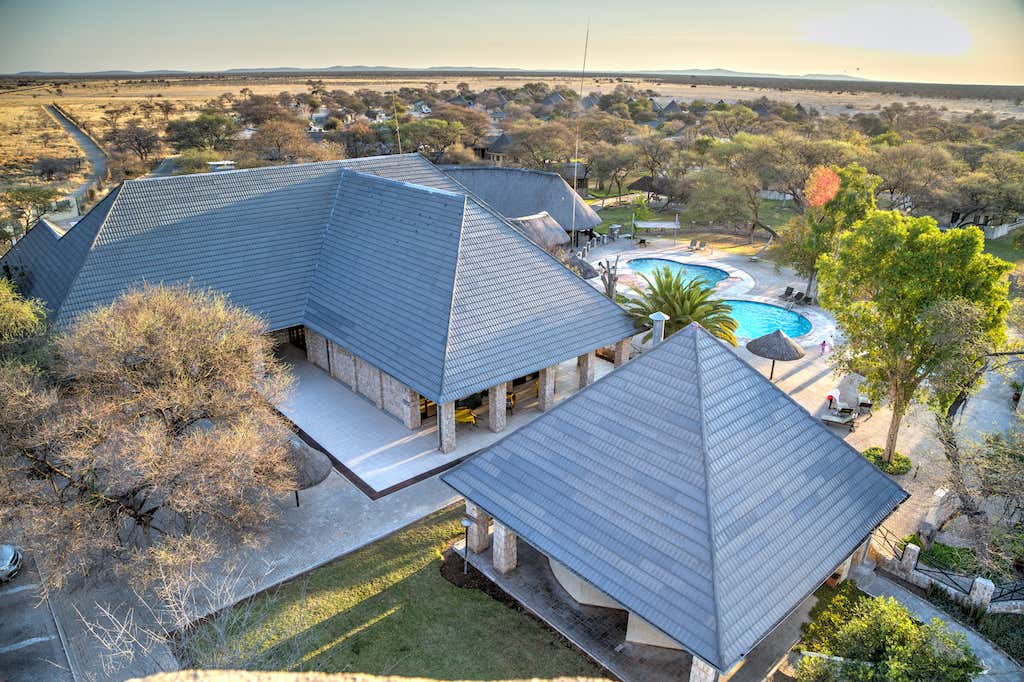 New Scientist. Science news and long reads from expert journalists, covering developments in science, technology, health and the environment on the website and the magazine.