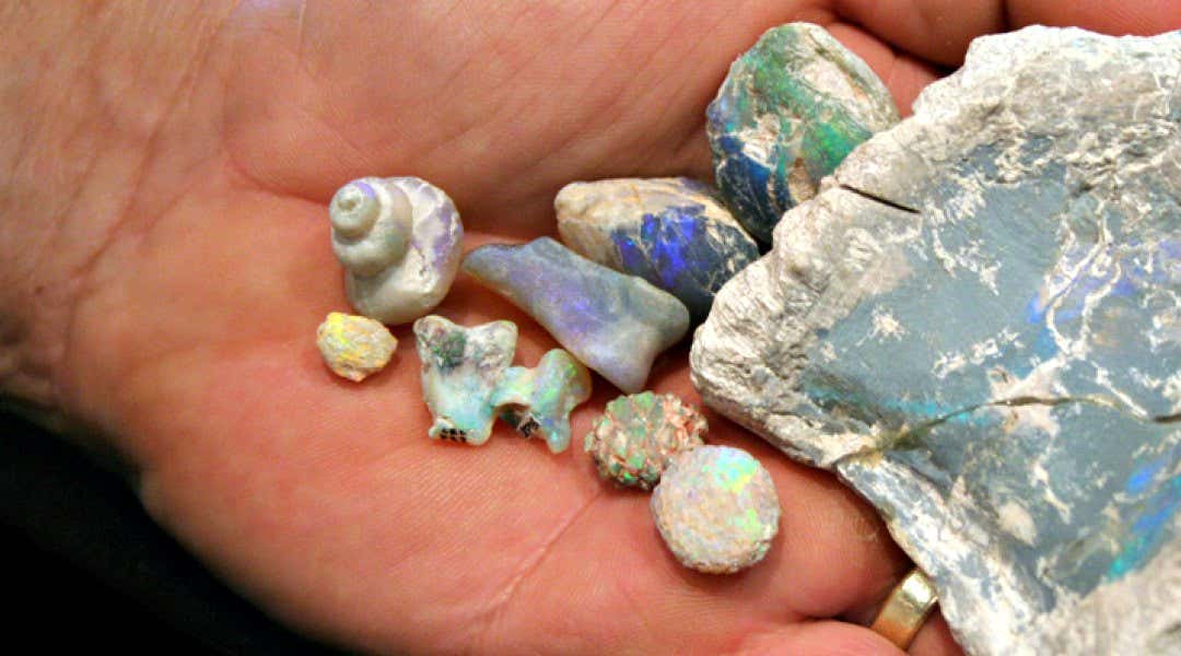 New Scientist. Science news and long reads from expert journalists, covering developments in science, technology, health and the environment on the website and the magazine.