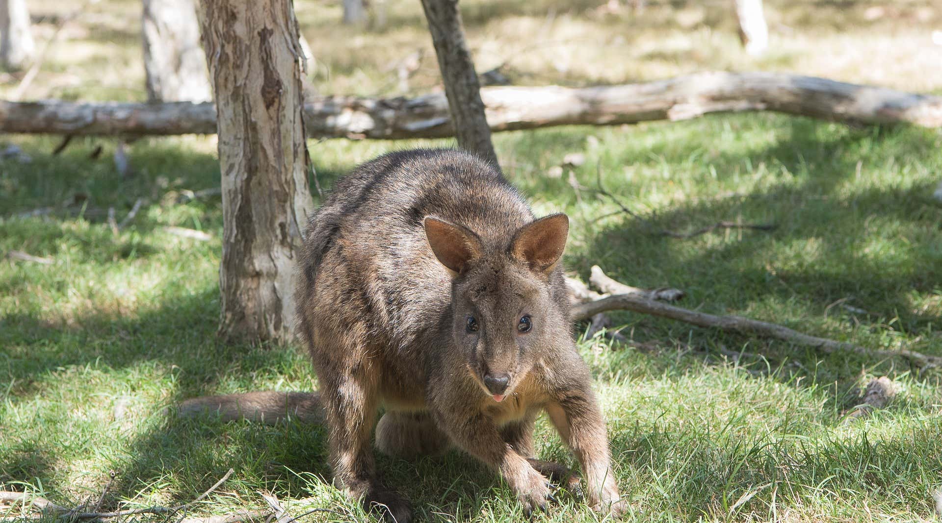 New Scientist. Science news and long reads from expert journalists, covering developments in science, technology, health and the environment on the website and the magazine.