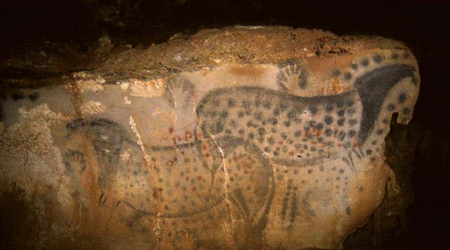 New Scientist. Science news and long reads from expert journalists, covering developments in science, technology, health and the environment on the website and the magazine.