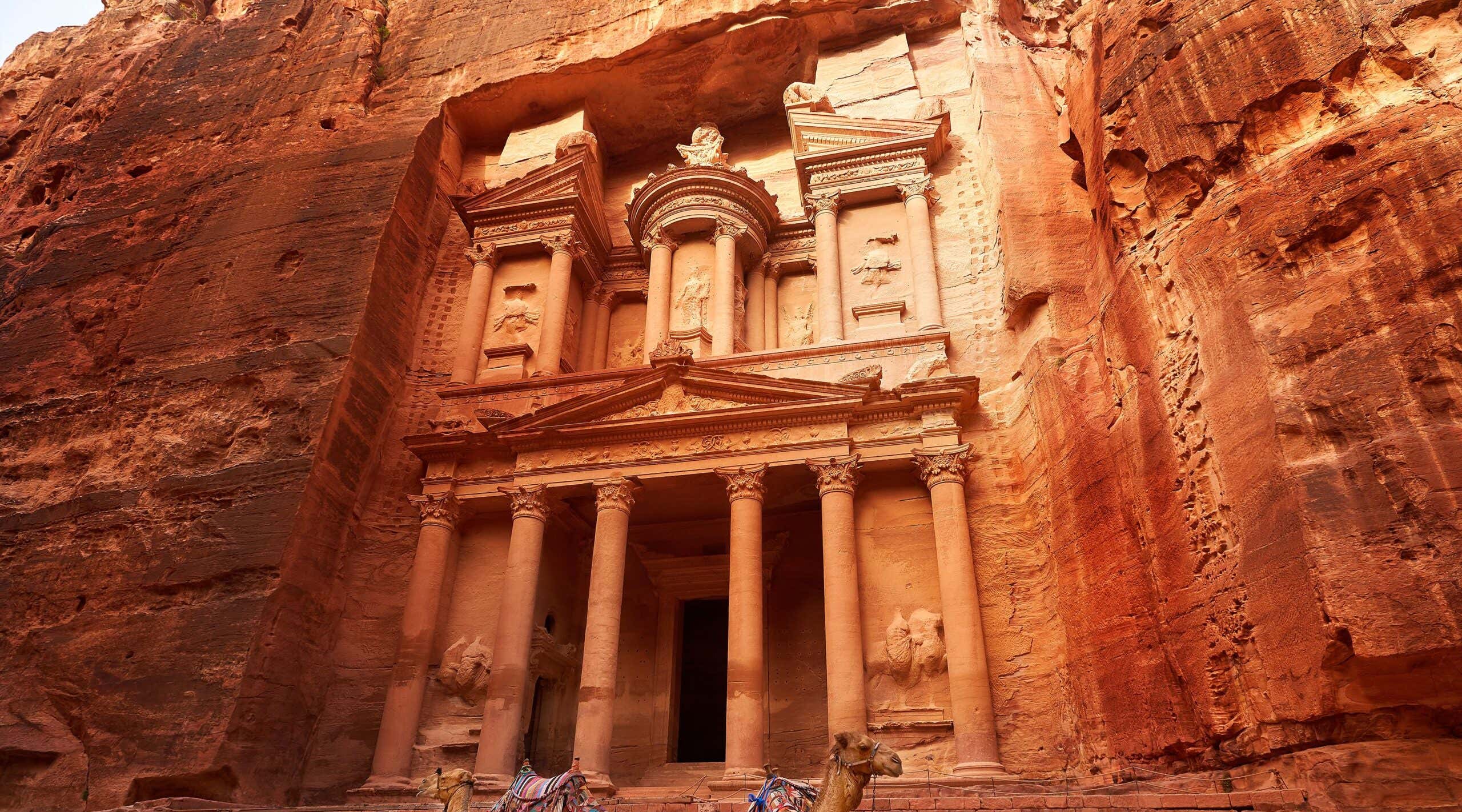 New Scientist. Science news and long reads from expert journalists, covering developments in science, technology, health and the environment on the website and the magazine.