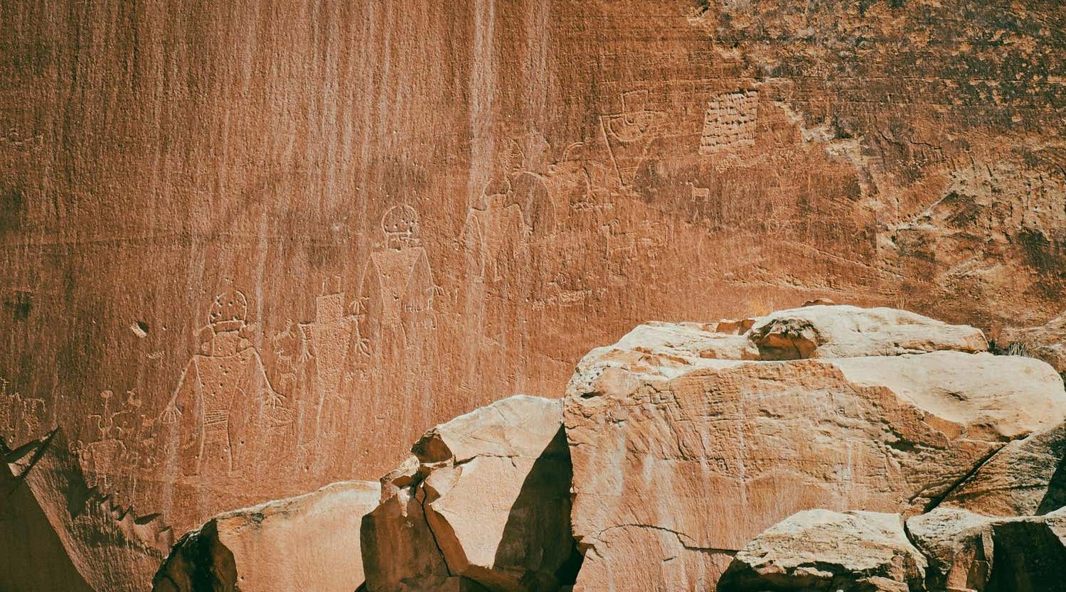 New Scientist. Science news and long reads from expert journalists, covering developments in science, technology, health and the environment on the website and the magazine.