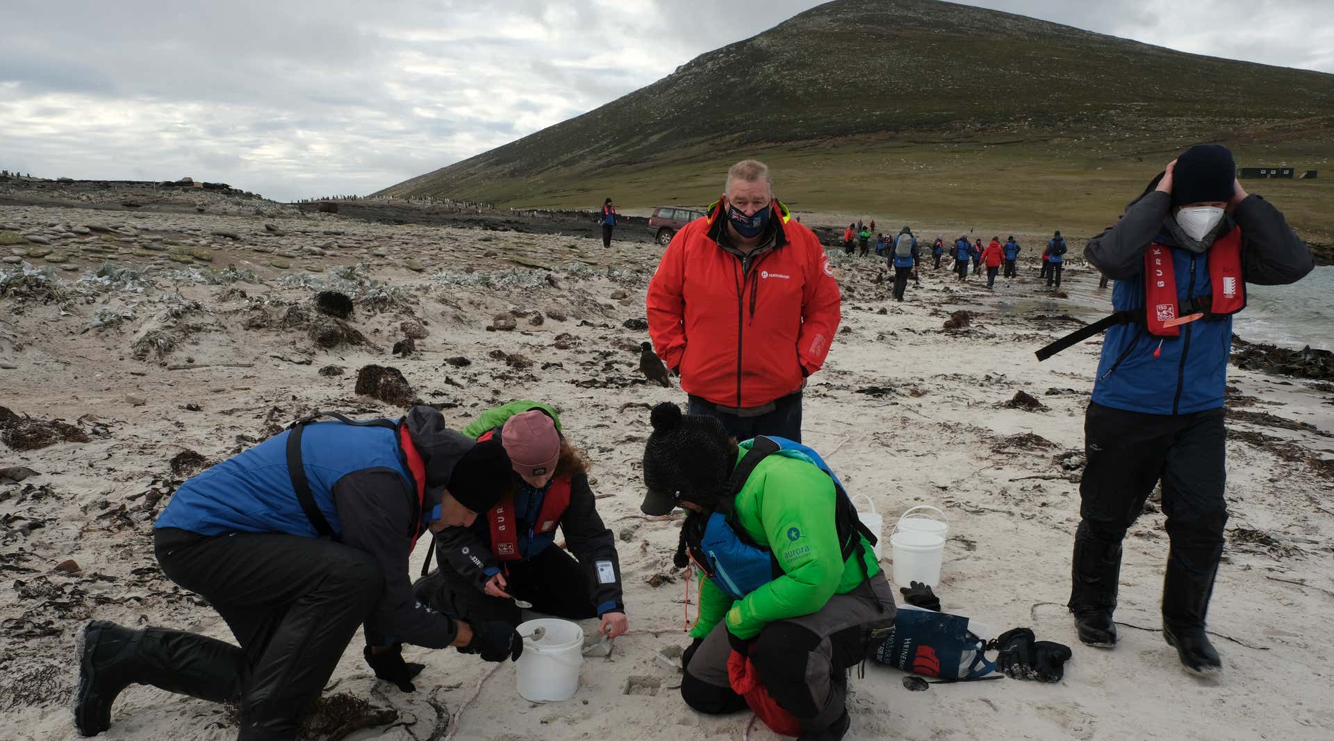 New Scientist. Science news and long reads from expert journalists, covering developments in science, technology, health and the environment on the website and the magazine.