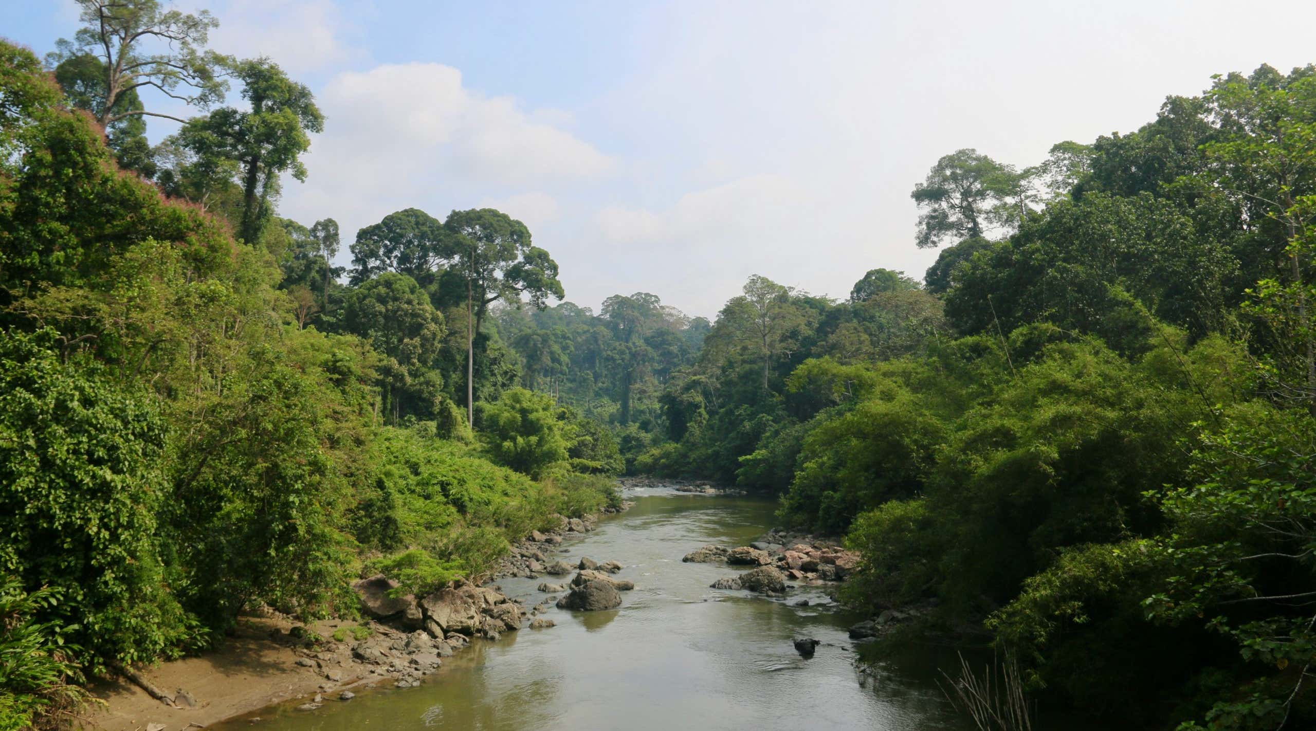 New Scientist. Science news and long reads from expert journalists, covering developments in science, technology, health and the environment on the website and the magazine.