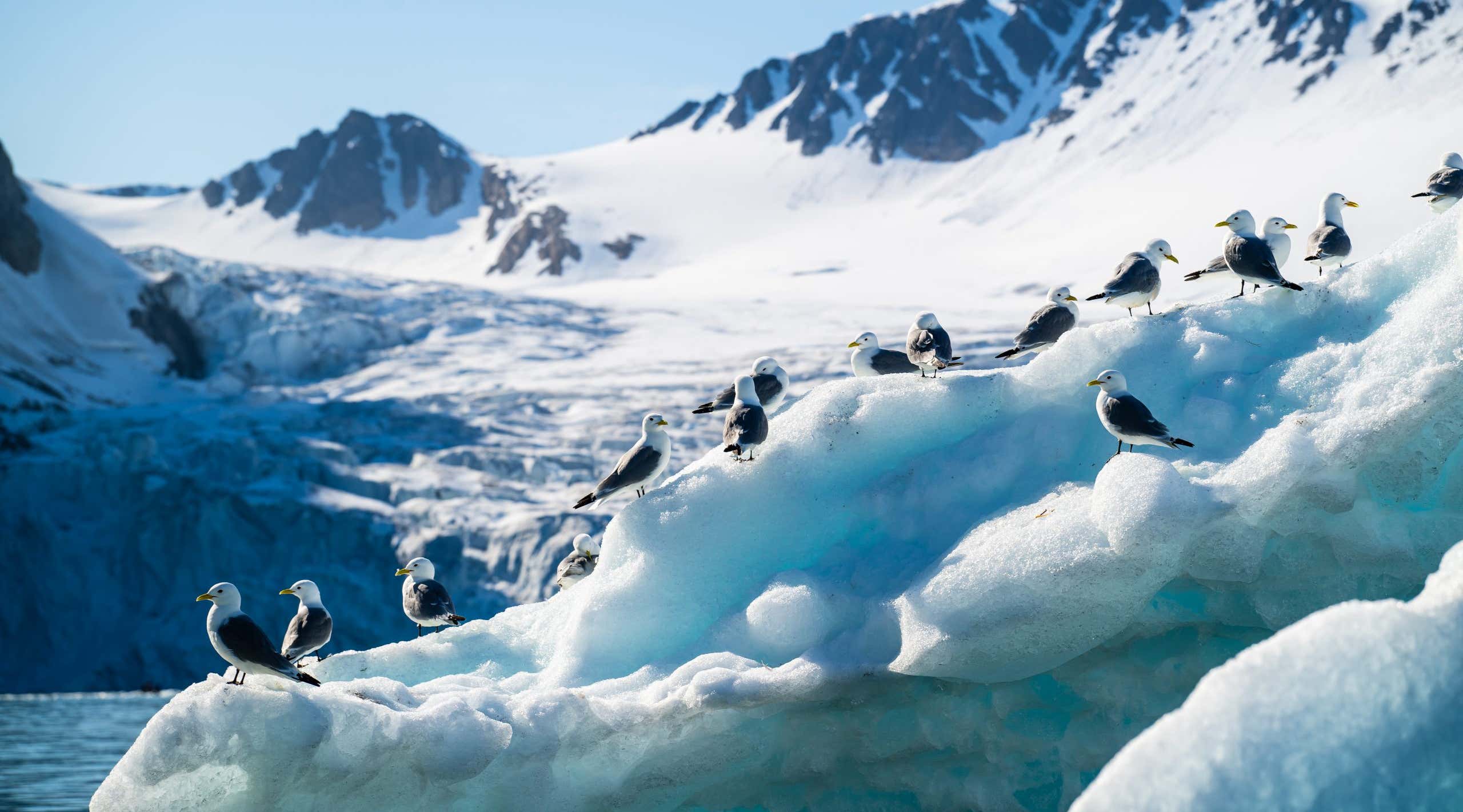 New Scientist. Science news and long reads from expert journalists, covering developments in science, technology, health and the environment on the website and the magazine.