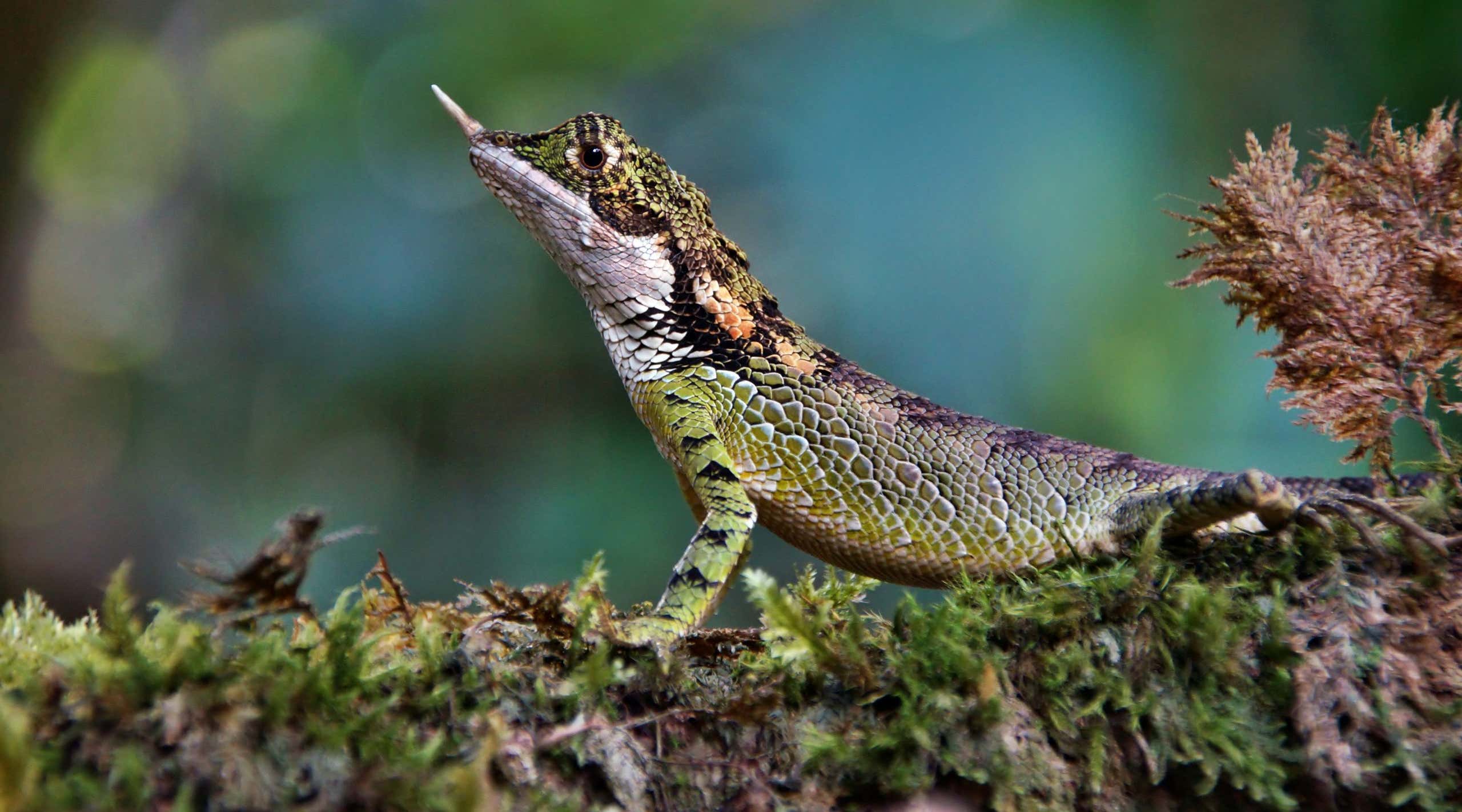 New Scientist. Science news and long reads from expert journalists, covering developments in science, technology, health and the environment on the website and the magazine.