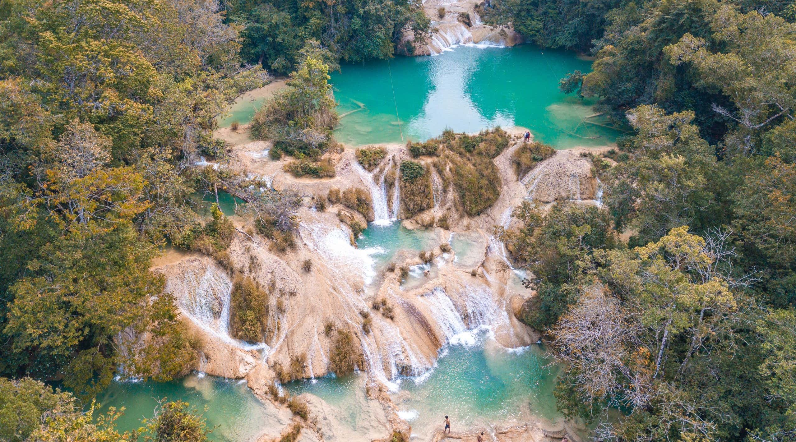 New Scientist. Science news and long reads from expert journalists, covering developments in science, technology, health and the environment on the website and the magazine.