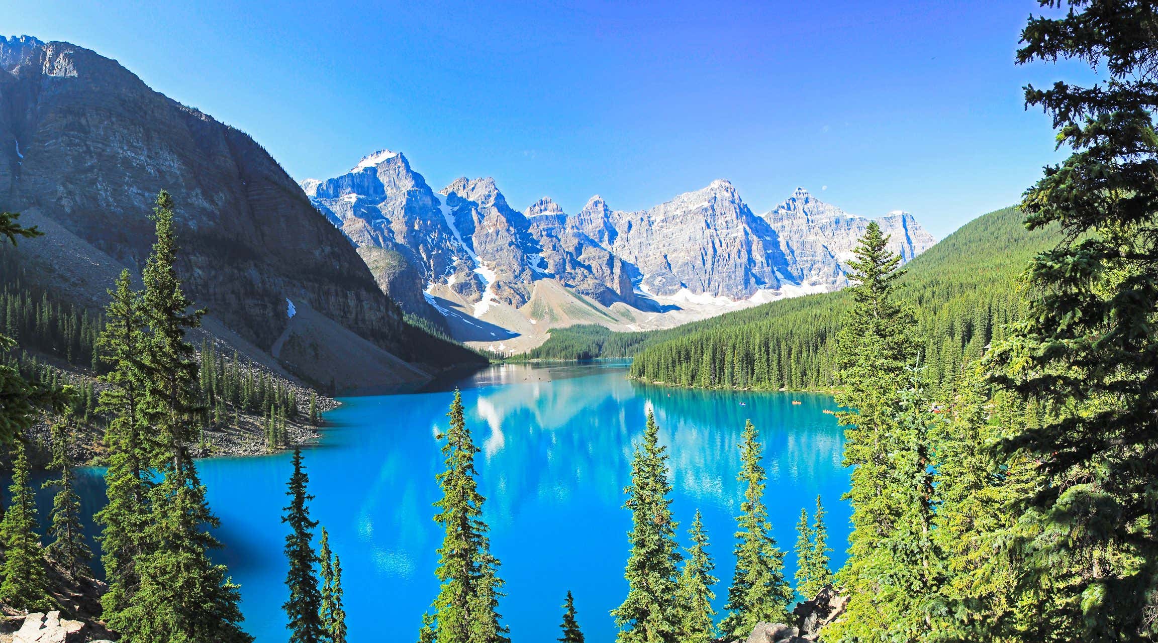 New Scientist. Science news and long reads from expert journalists, covering developments in science, technology, health and the environment on the website and the magazine.