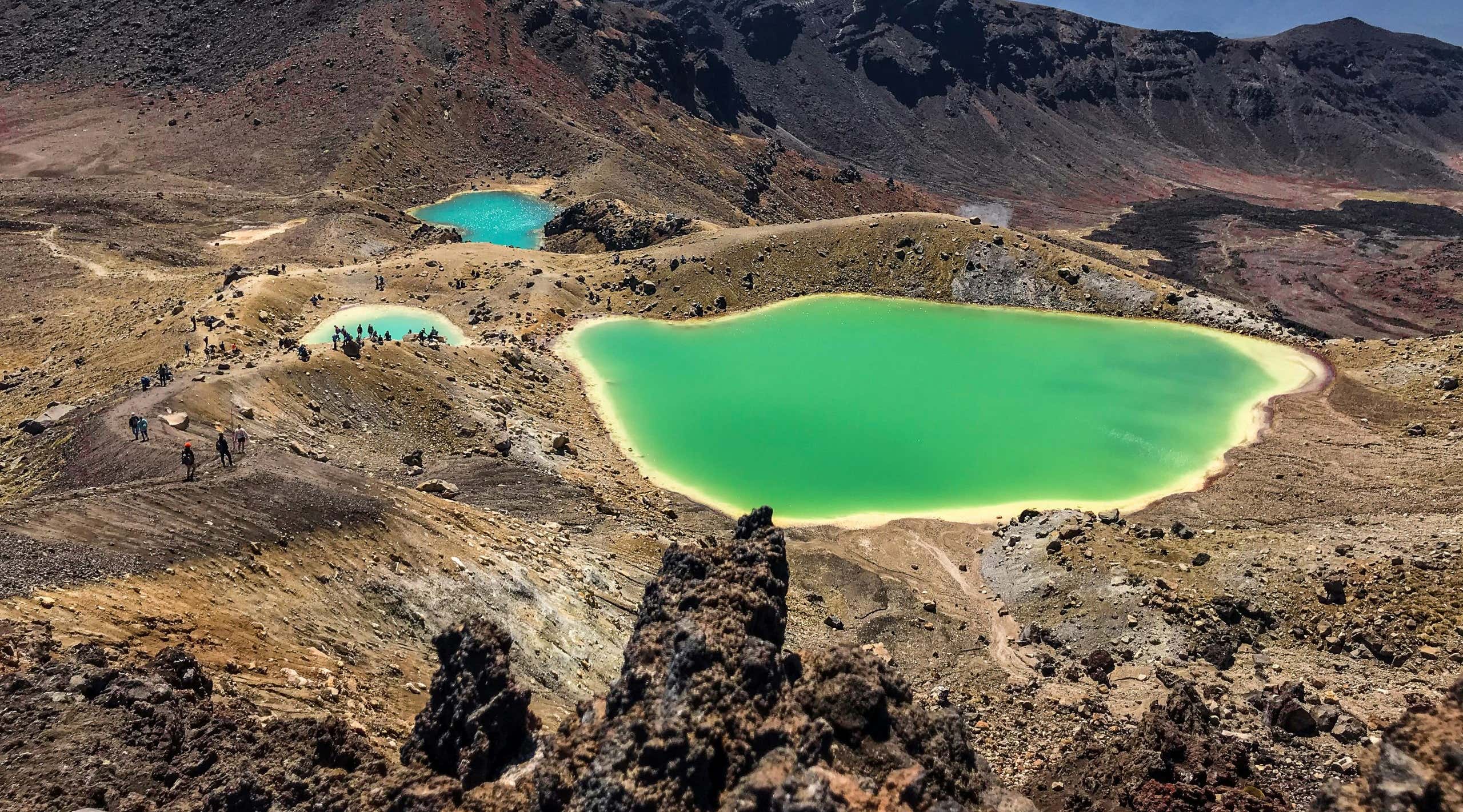 New Scientist. Science news and long reads from expert journalists, covering developments in science, technology, health and the environment on the website and the magazine.