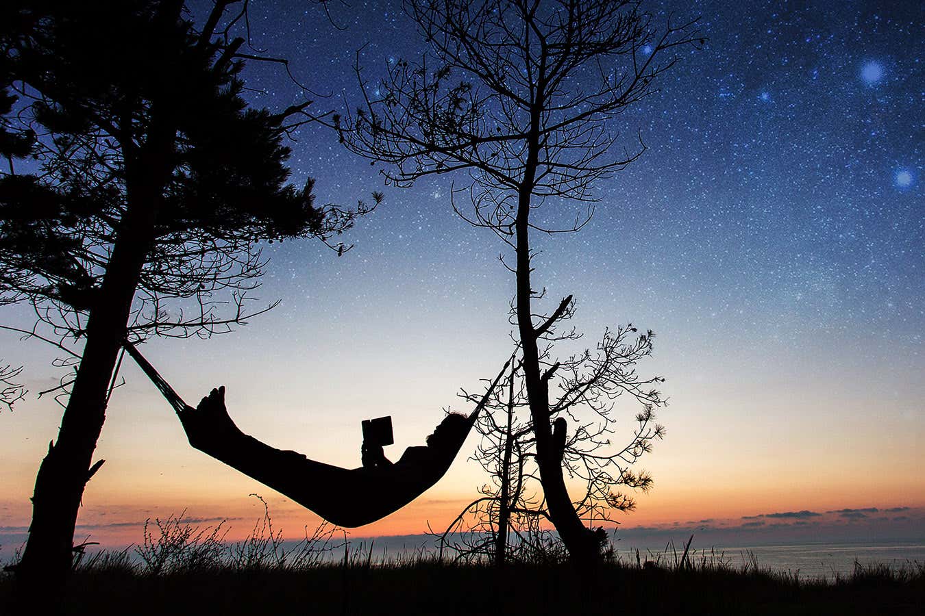 The best new popular science books of January 2026