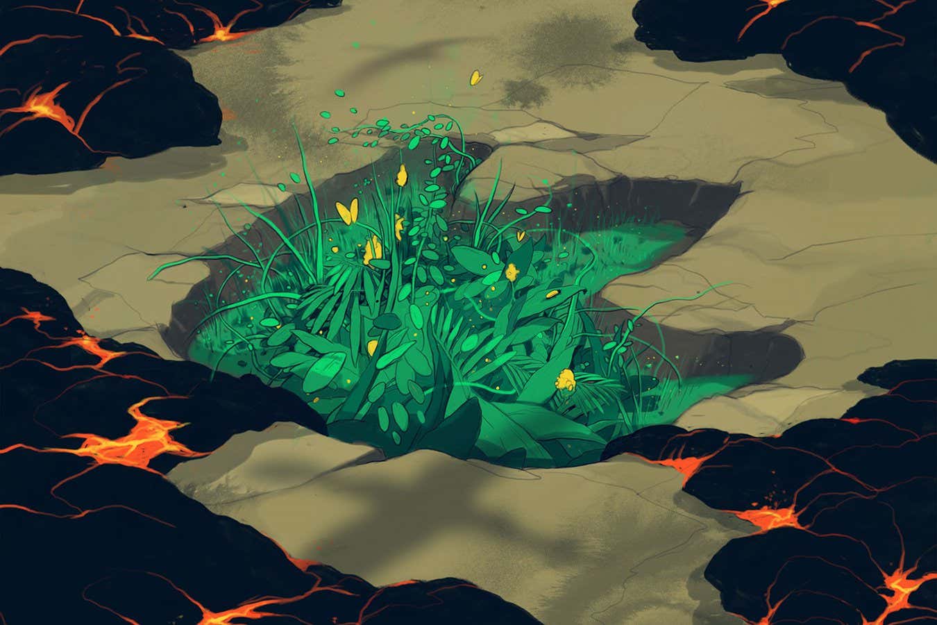 There’s growing evidence the big five mass extinctions never happened