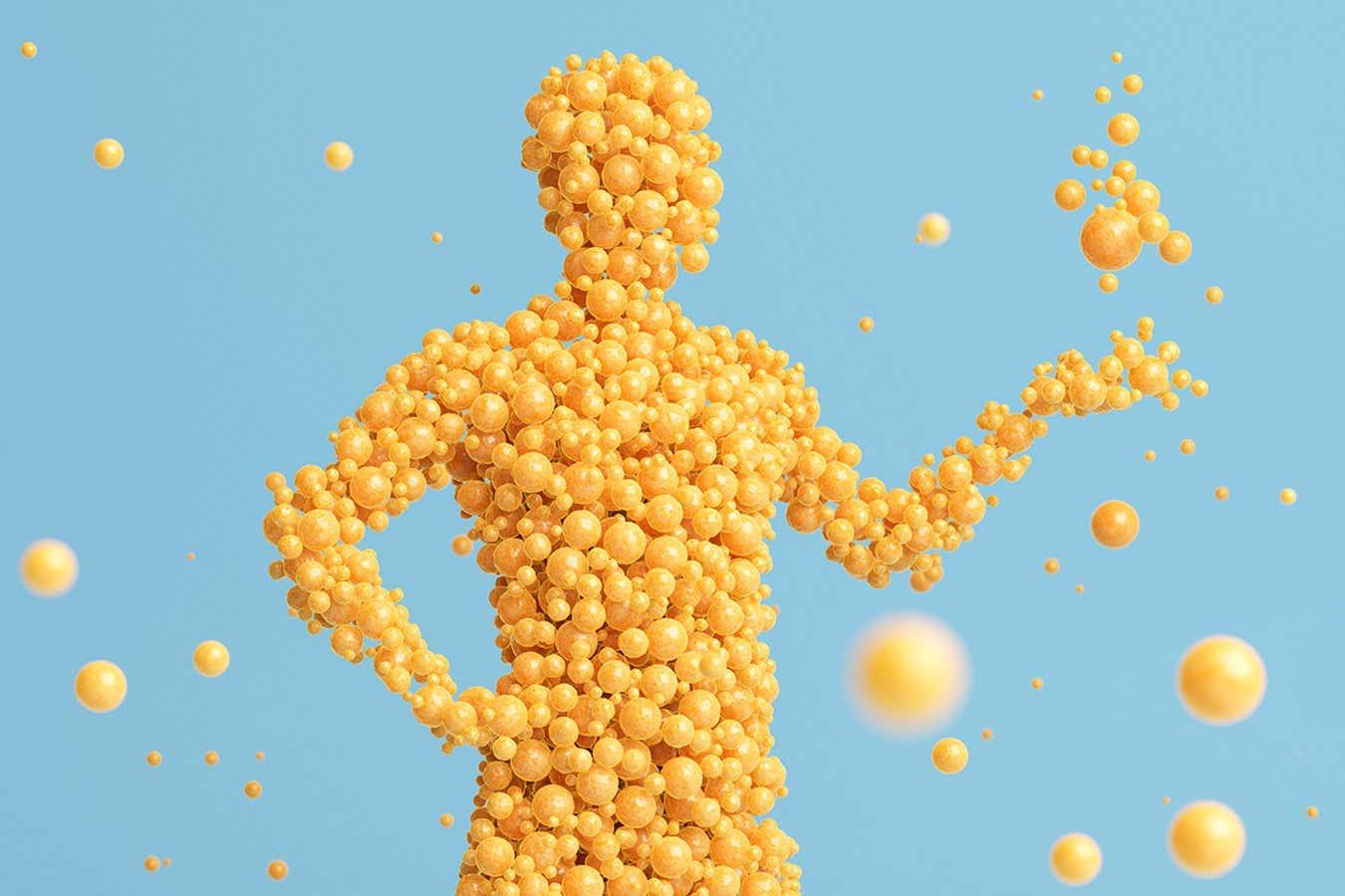 The vital, overlooked role of body fat in shaping your health and mind