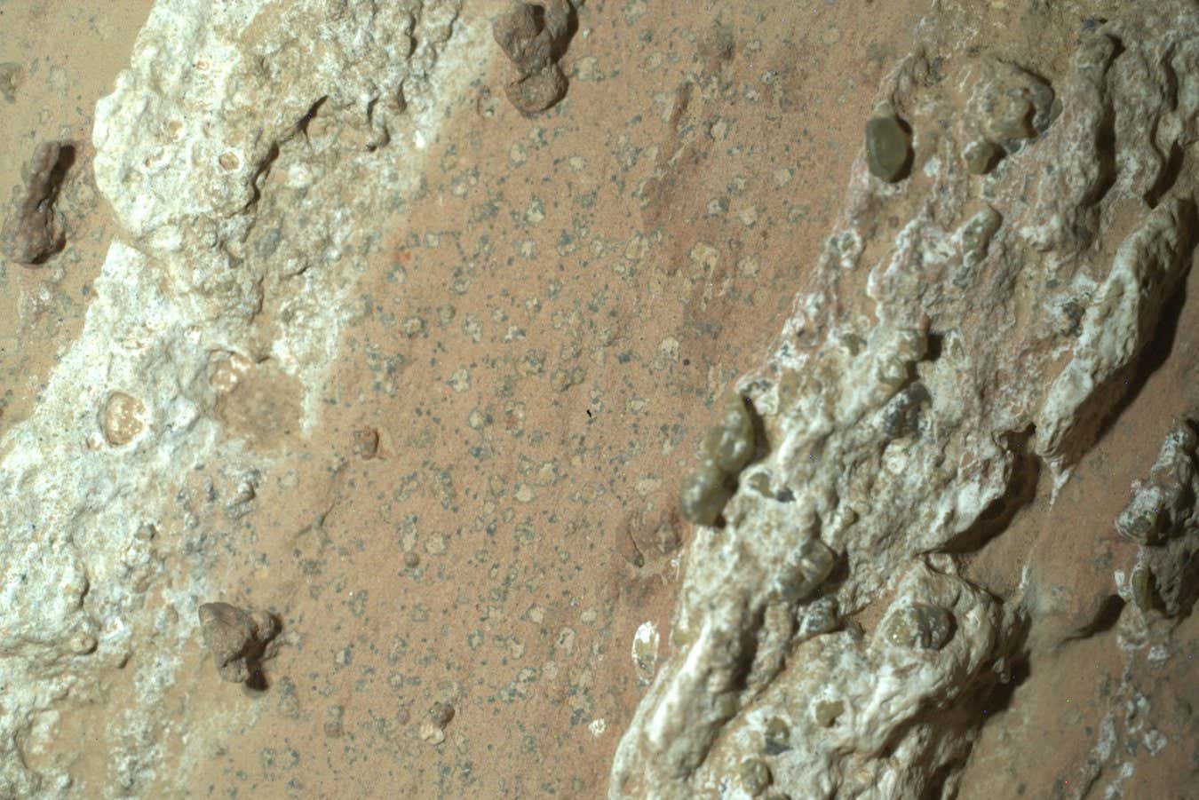 Image of Martian rock taken by Perseverance rover