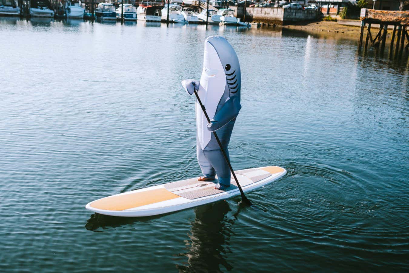 A person wearing a generic great white shark inflatable costume goes paddleboarding in the harbor. A funny playful twist on shark and human interaction.