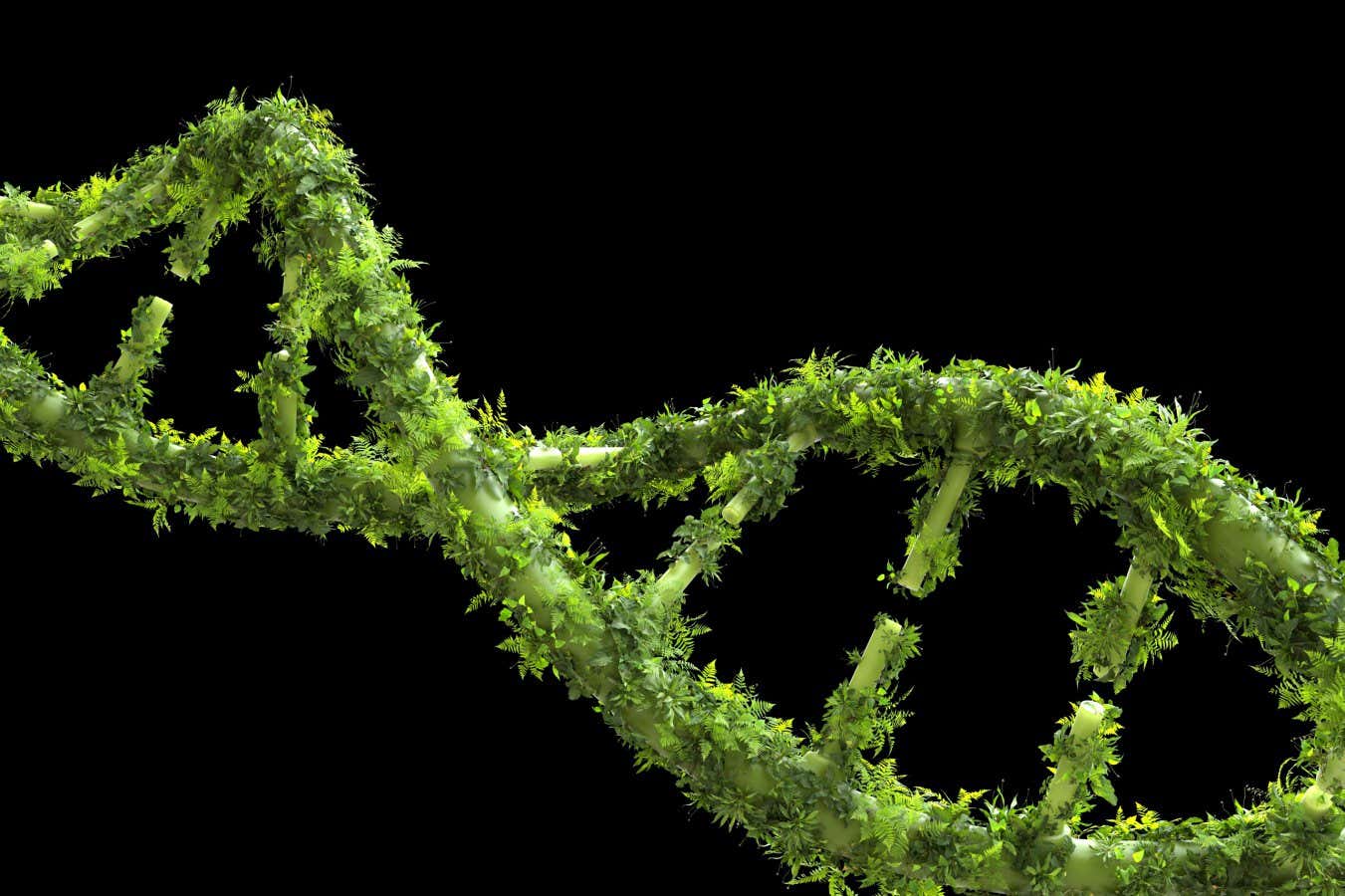 Green DNA with trees