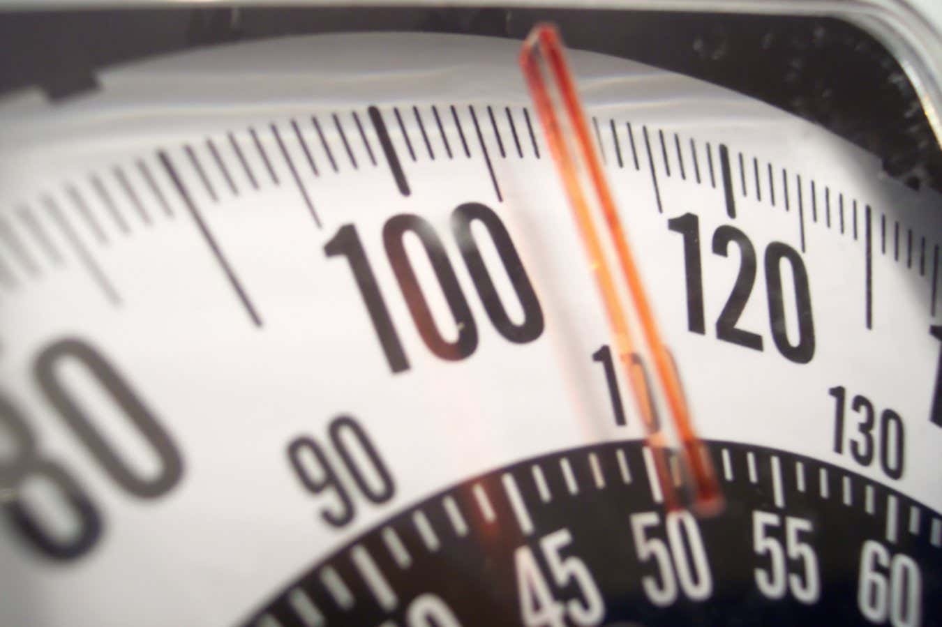 2026 is set to be an even bigger year for weight-loss drugs