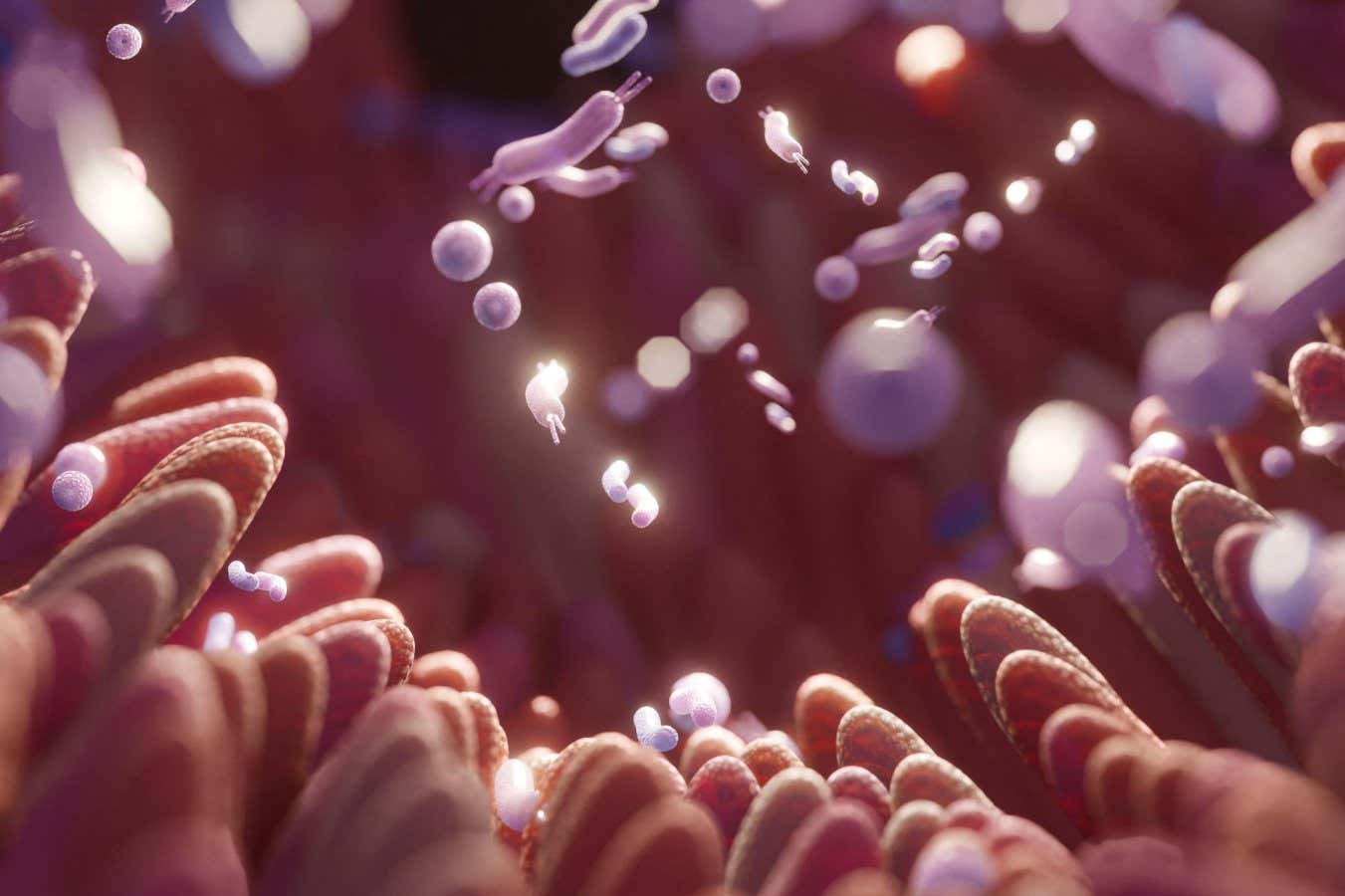 Artist's impression of the gut lining