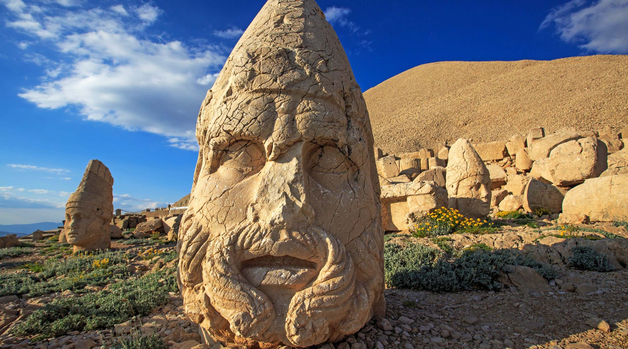 New Scientist. Science news and long reads from expert journalists, covering developments in science, technology, health and the environment on the website and the magazine.