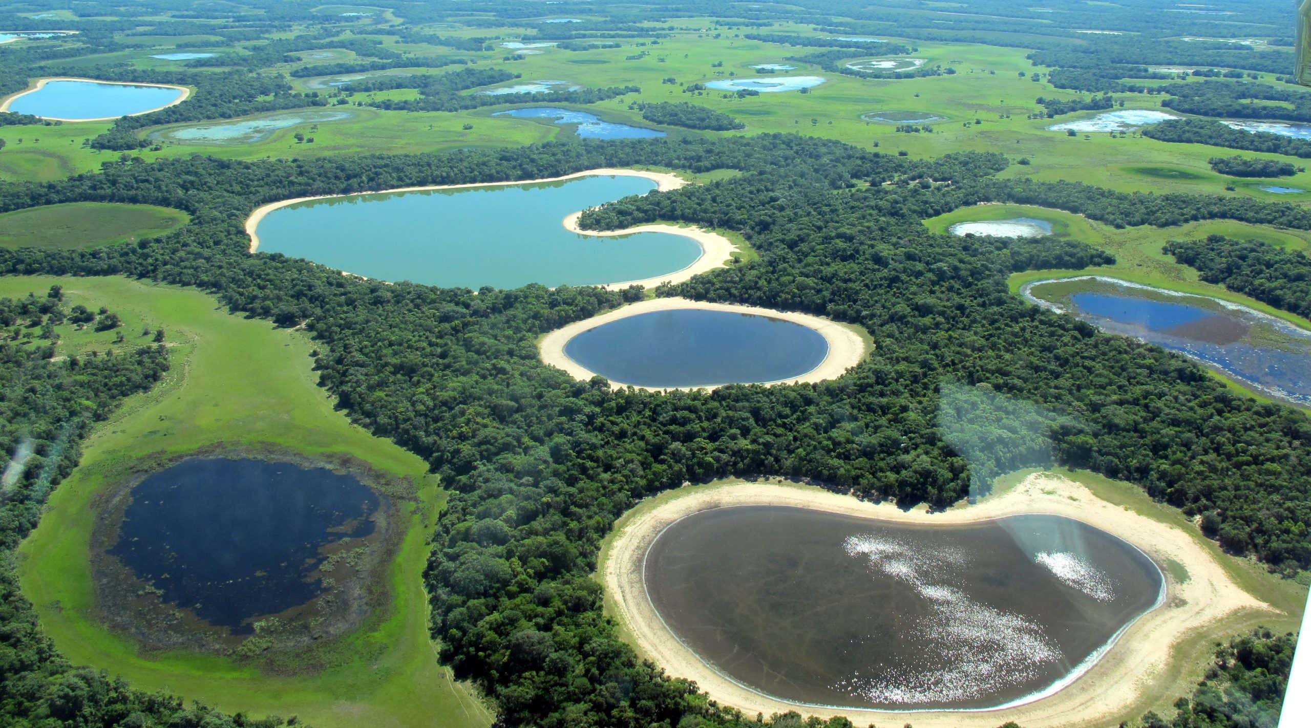 New Scientist. Science news and long reads from expert journalists, covering developments in science, technology, health and the environment on the website and the magazine.