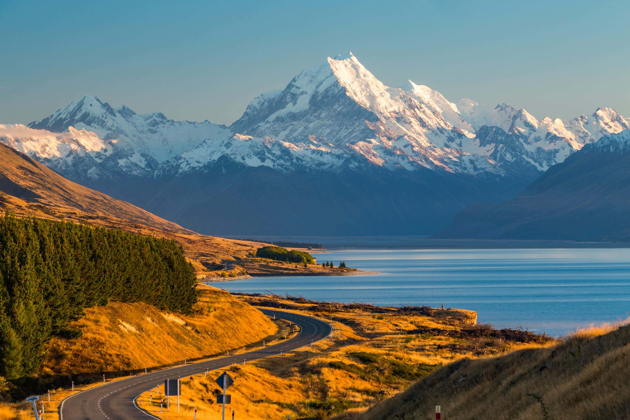 New Scientist. Science news and long reads from expert journalists, covering developments in science, technology, health and the environment on the website and the magazine.