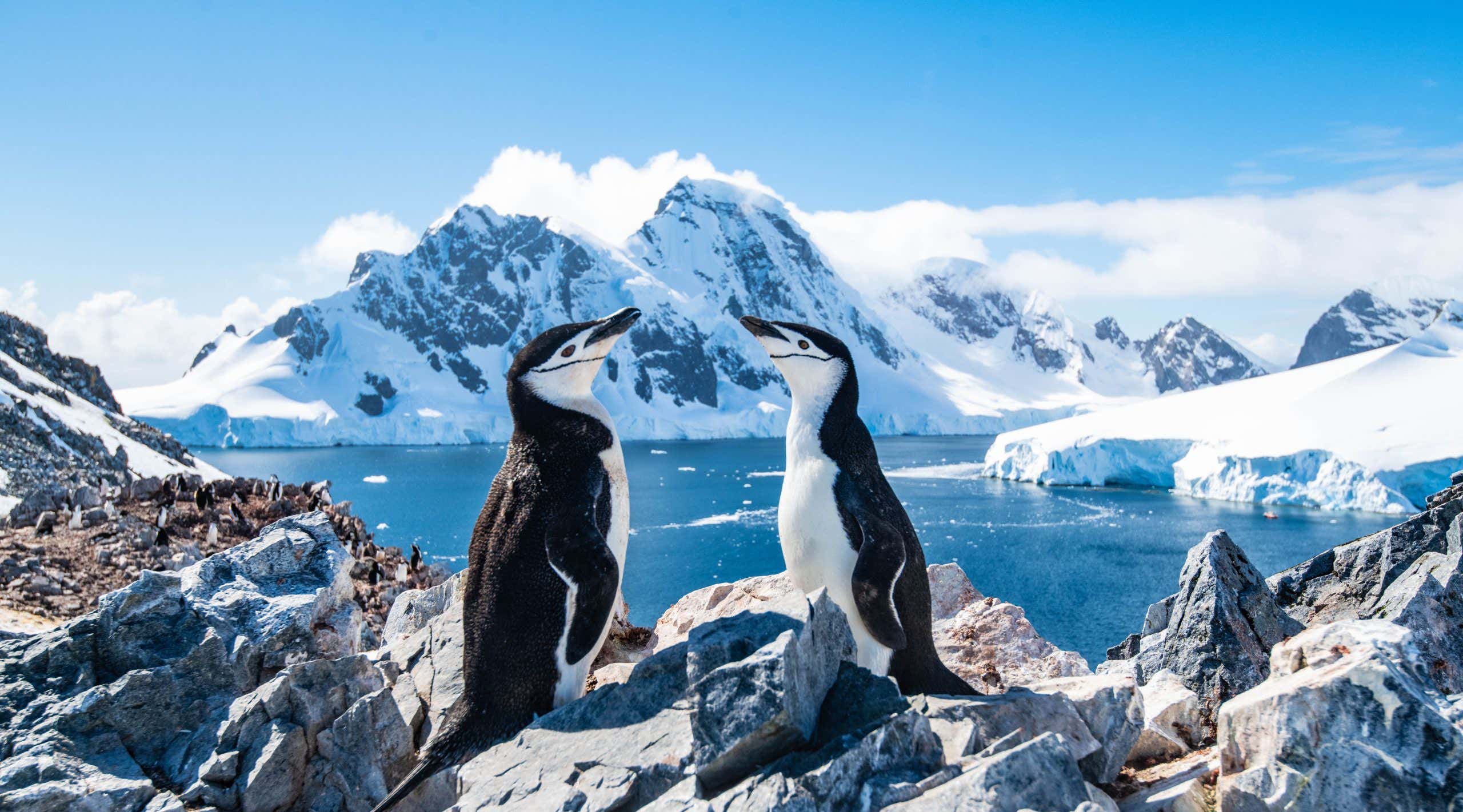 New Scientist. Science news and long reads from expert journalists, covering developments in science, technology, health and the environment on the website and the magazine.