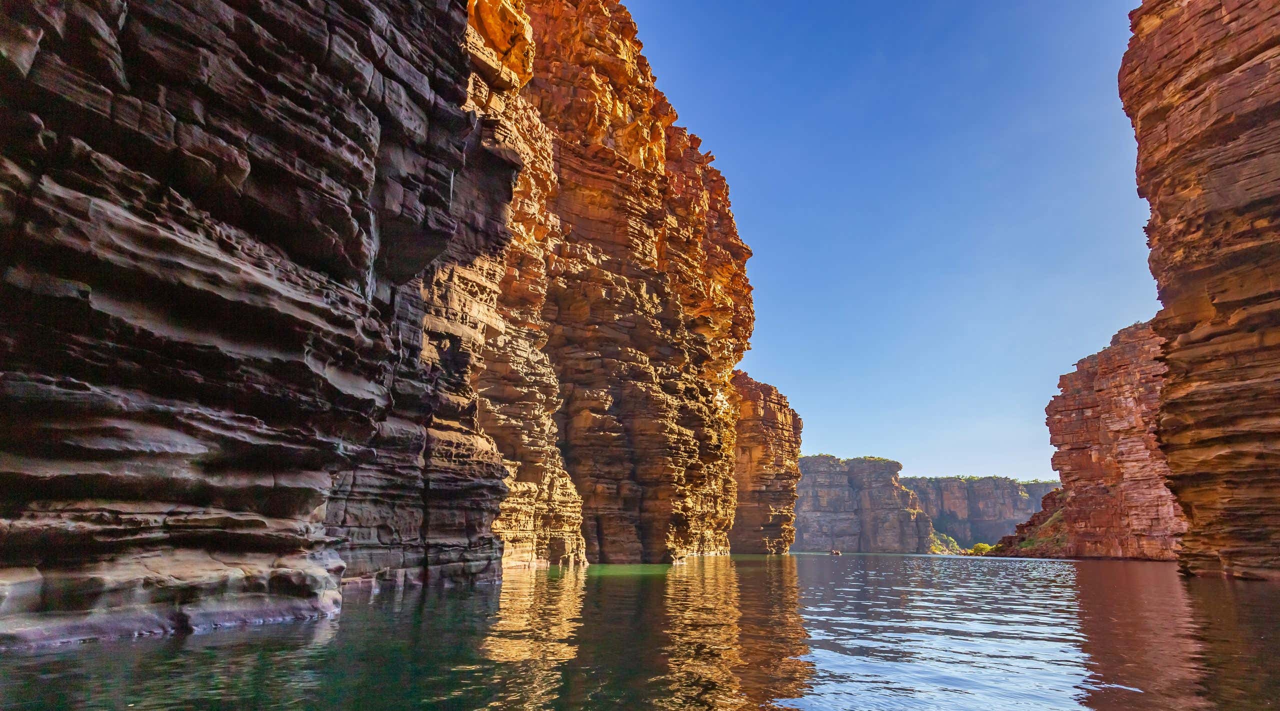 New Scientist. Science news and long reads from expert journalists, covering developments in science, technology, health and the environment on the website and the magazine.