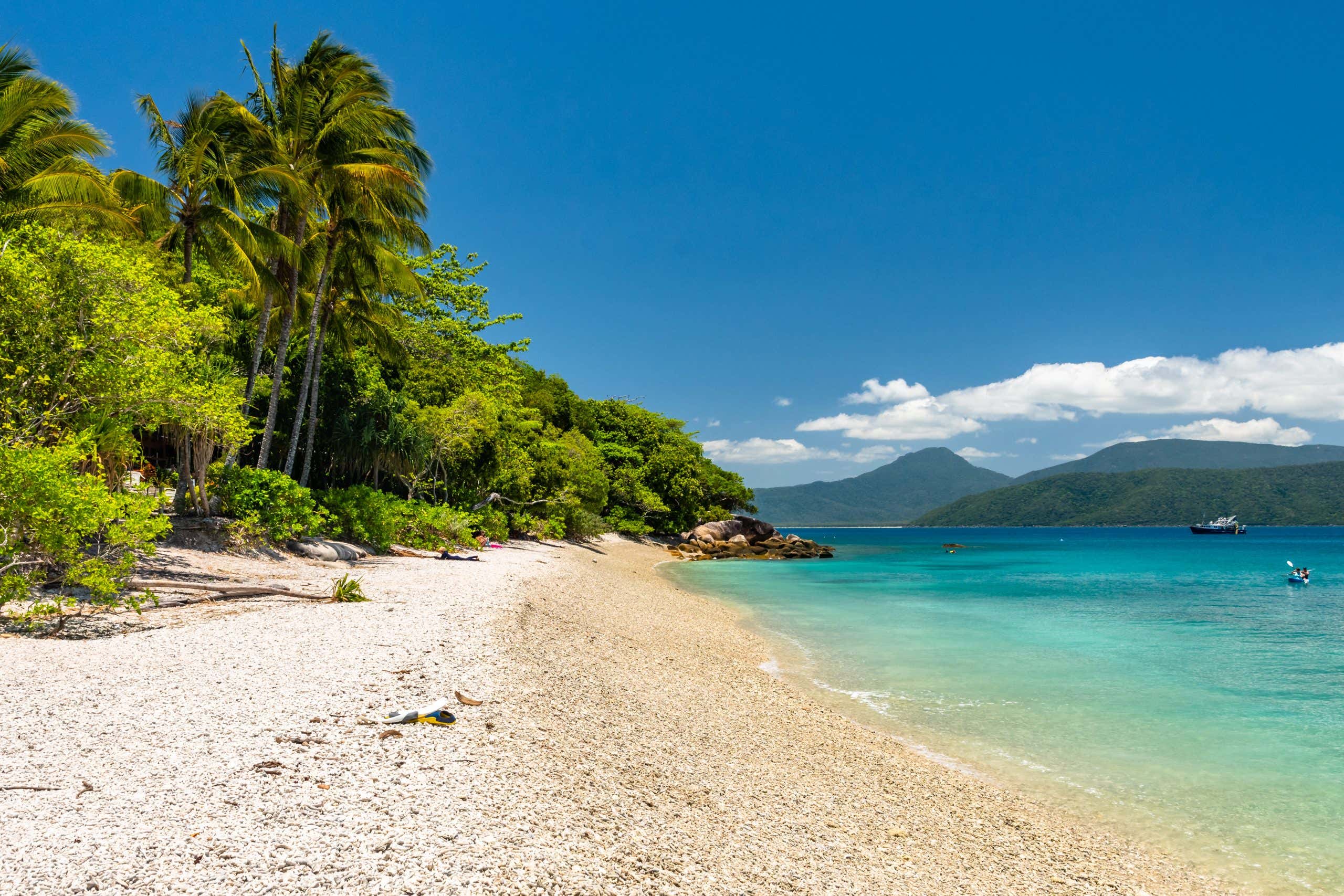 New Scientist. Science news and long reads from expert journalists, covering developments in science, technology, health and the environment on the website and the magazine.