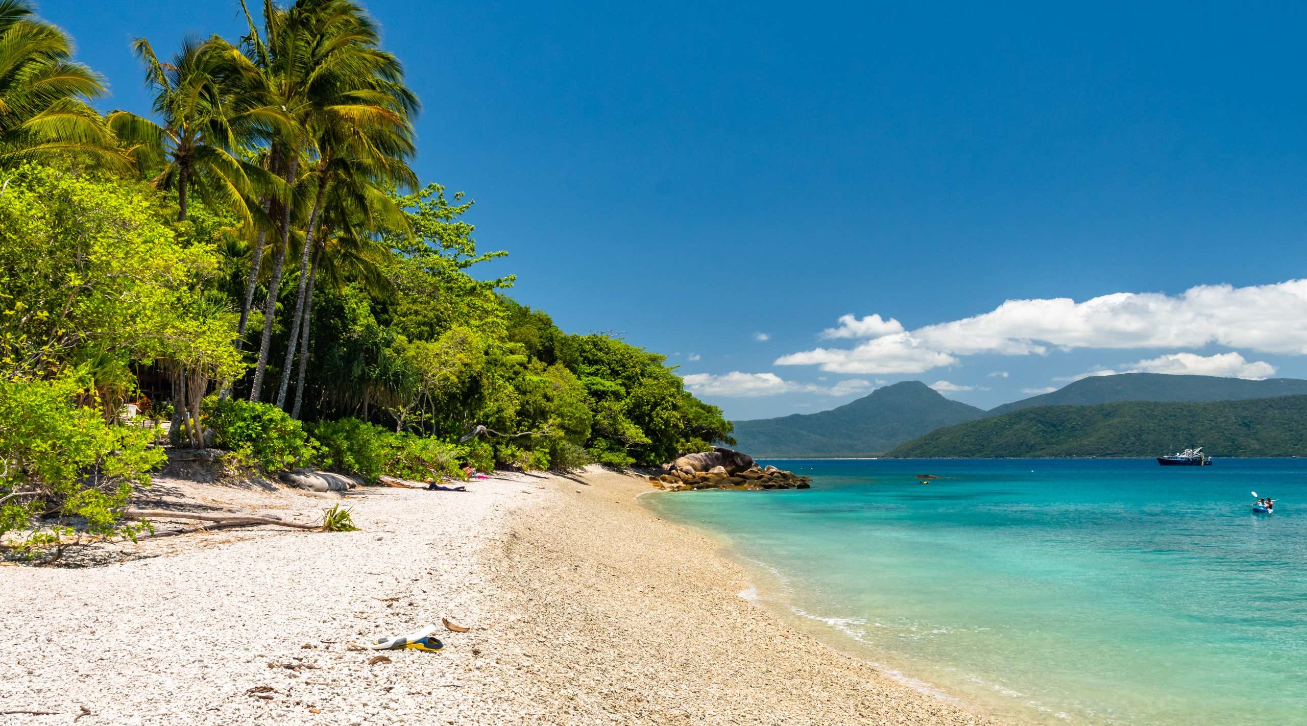 New Scientist. Science news and long reads from expert journalists, covering developments in science, technology, health and the environment on the website and the magazine.