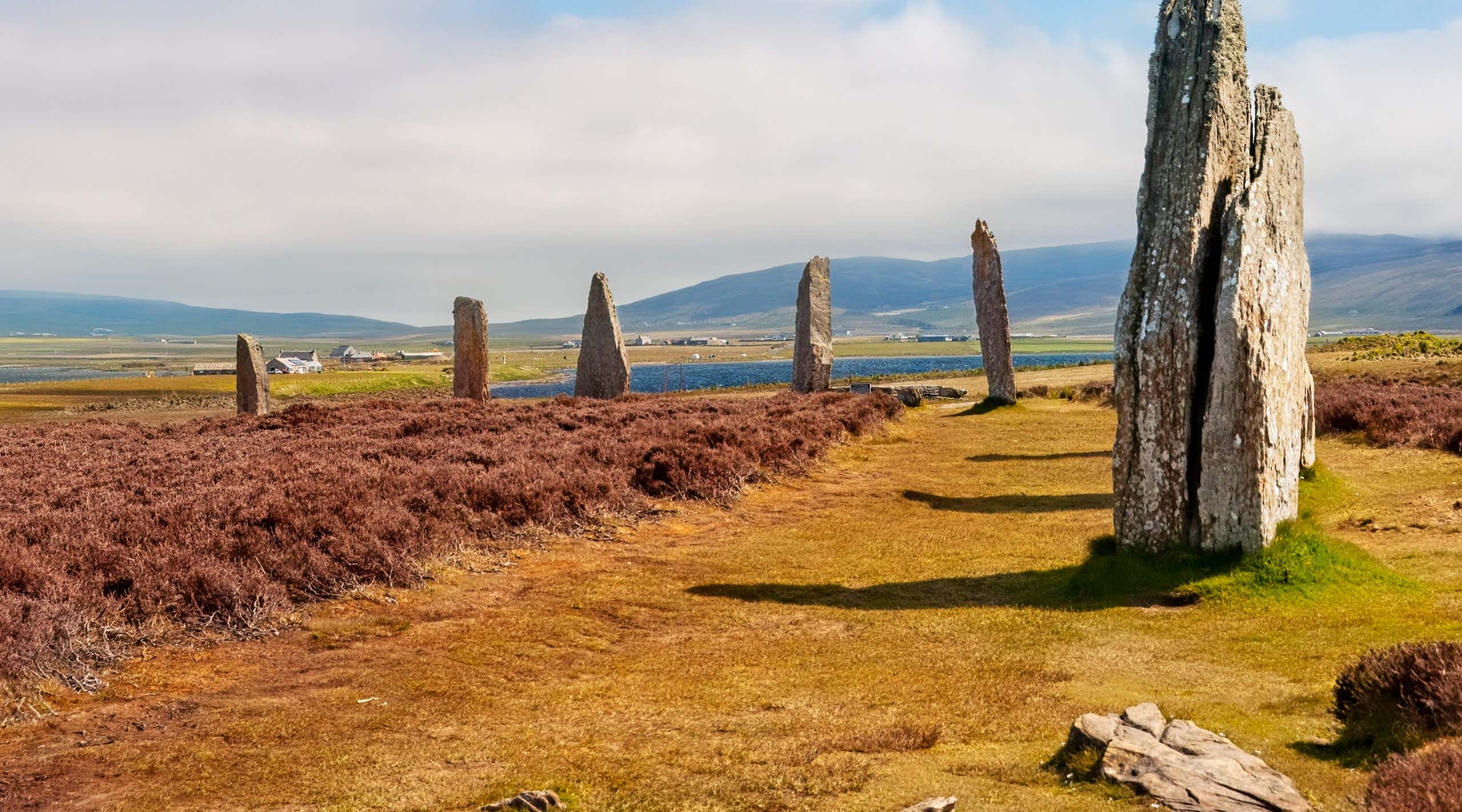 New Scientist. Science news and long reads from expert journalists, covering developments in science, technology, health and the environment on the website and the magazine.