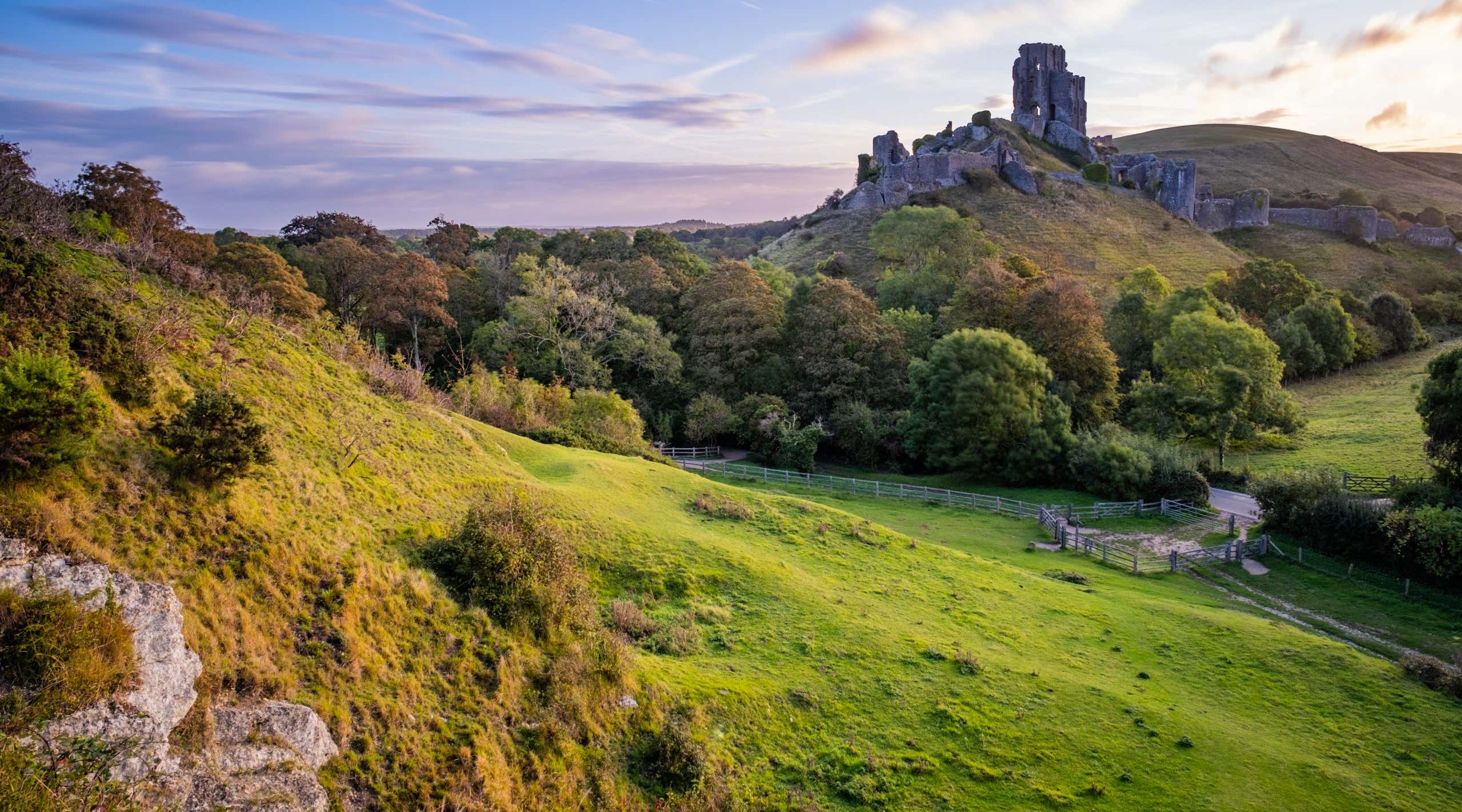 New Scientist. Science news and long reads from expert journalists, covering developments in science, technology, health and the environment on the website and the magazine.