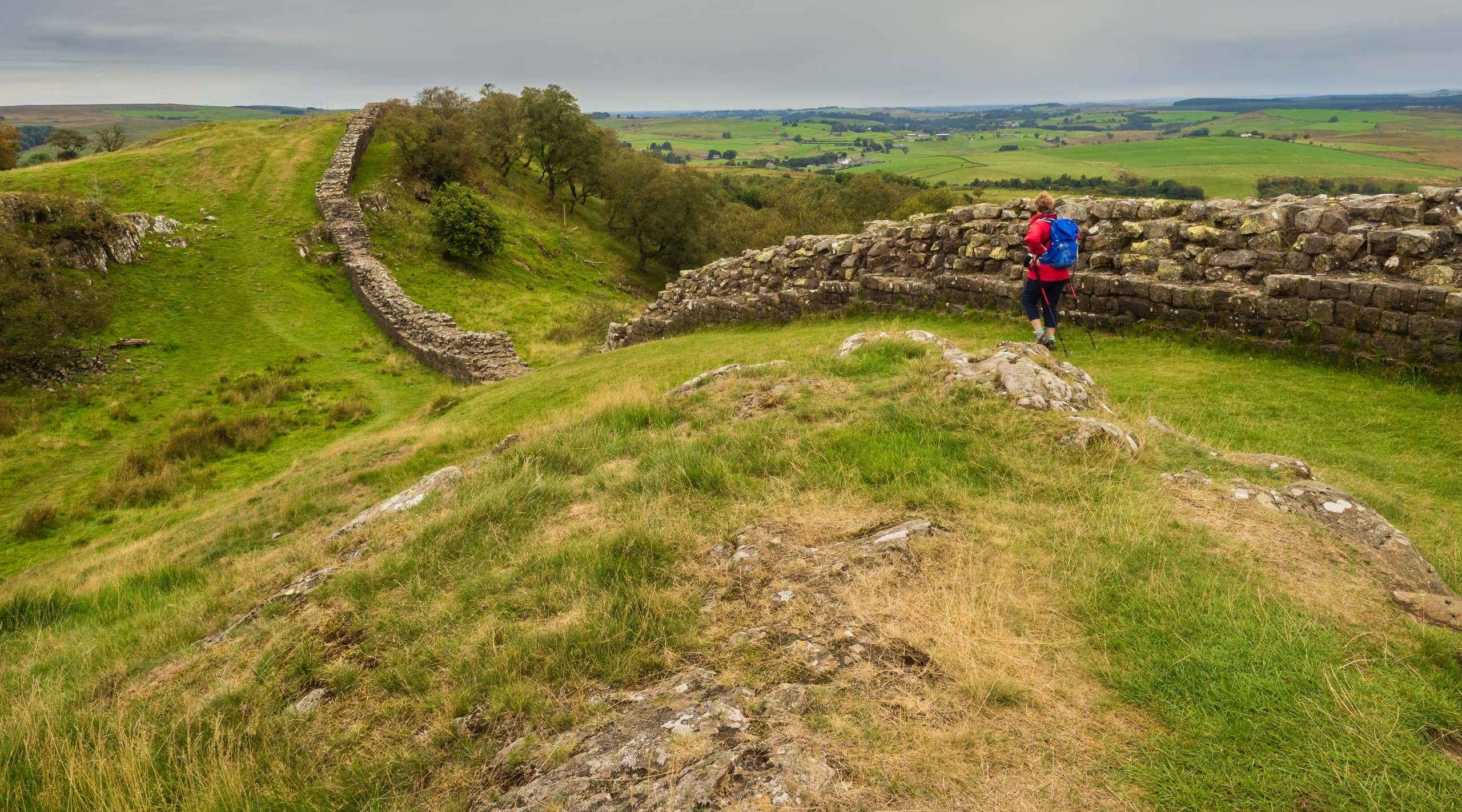 New Scientist. Science news and long reads from expert journalists, covering developments in science, technology, health and the environment on the website and the magazine.