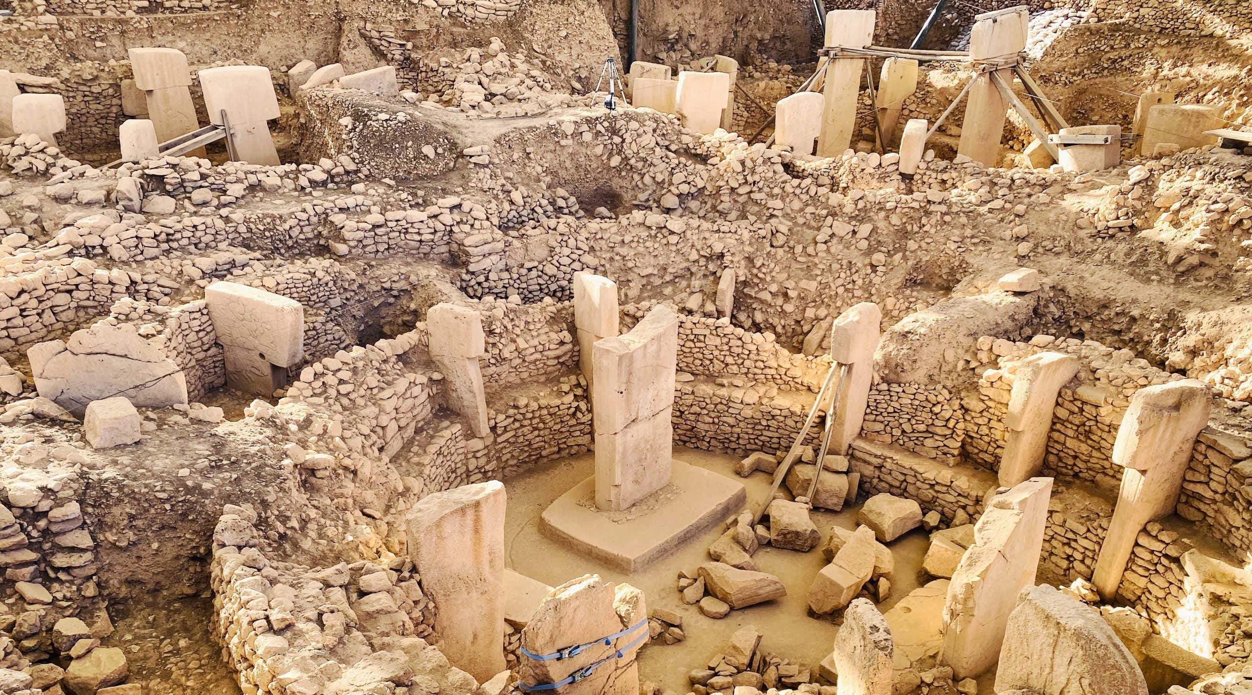 New Scientist. Science news and long reads from expert journalists, covering developments in science, technology, health and the environment on the website and the magazine.