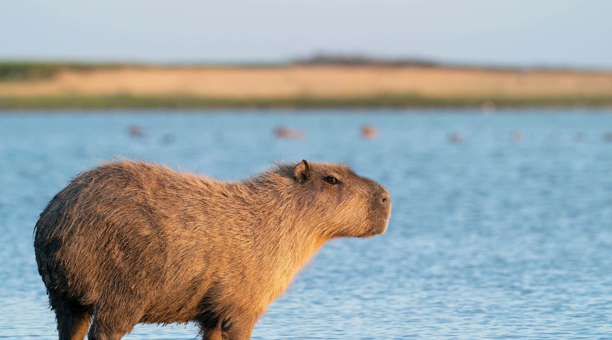 New Scientist. Science news and long reads from expert journalists, covering developments in science, technology, health and the environment on the website and the magazine.
