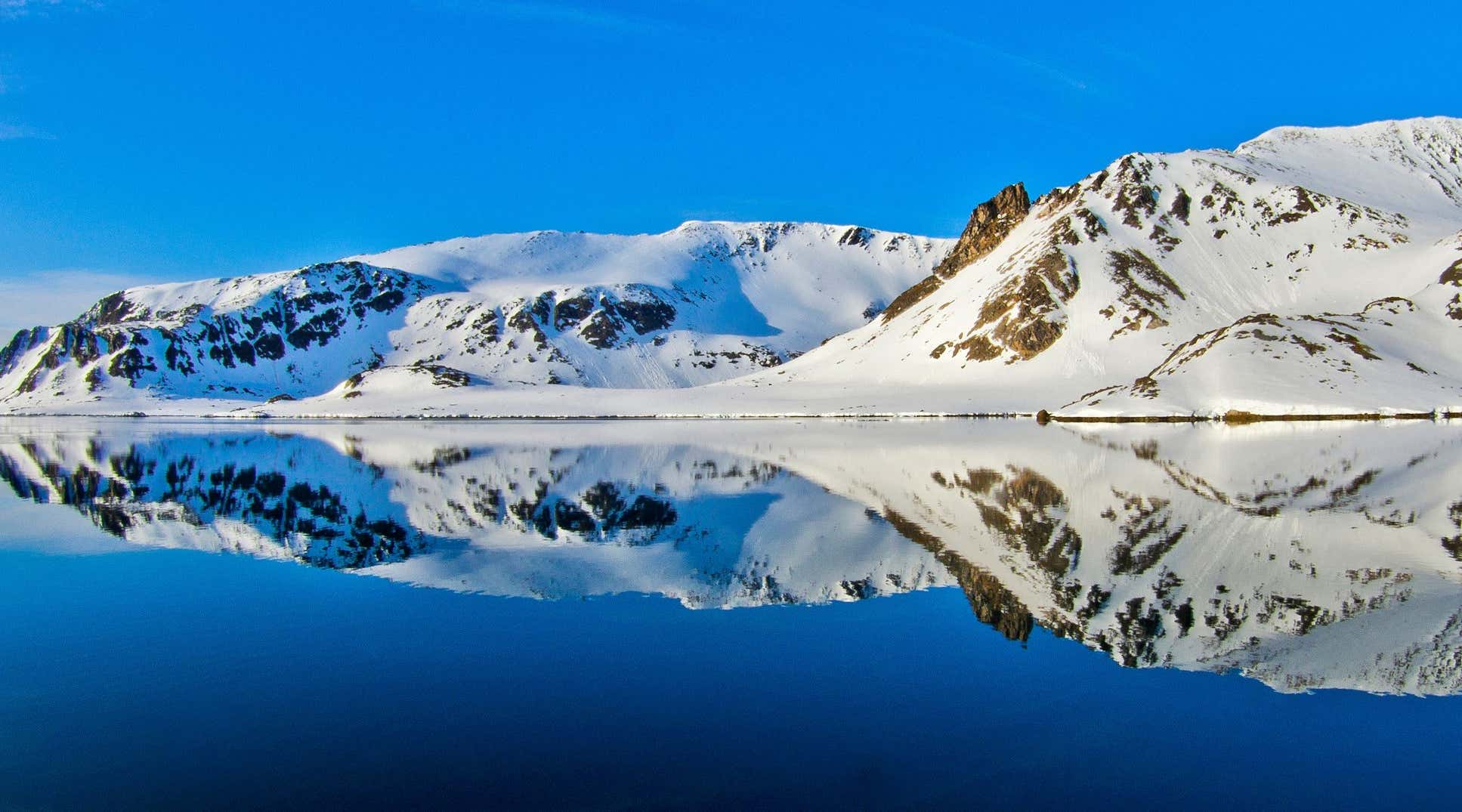 New Scientist. Science news and long reads from expert journalists, covering developments in science, technology, health and the environment on the website and the magazine.