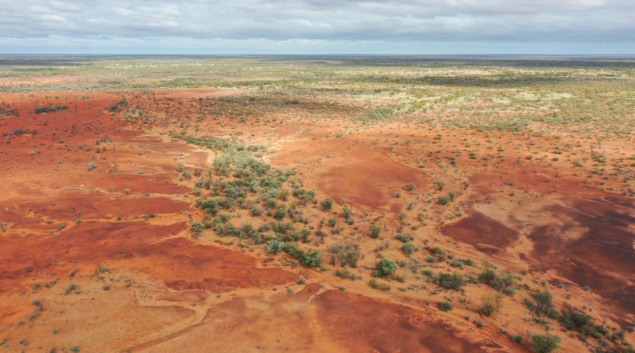 New Scientist. Science news and long reads from expert journalists, covering developments in science, technology, health and the environment on the website and the magazine.