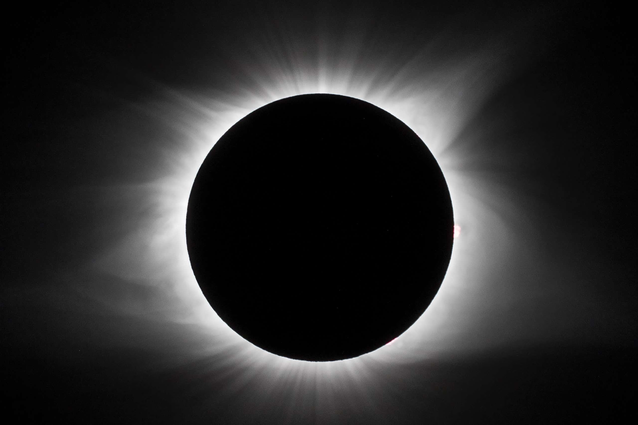 New Scientist. Science news and long reads from expert journalists, covering developments in science, technology, health and the environment on the website and the magazine.