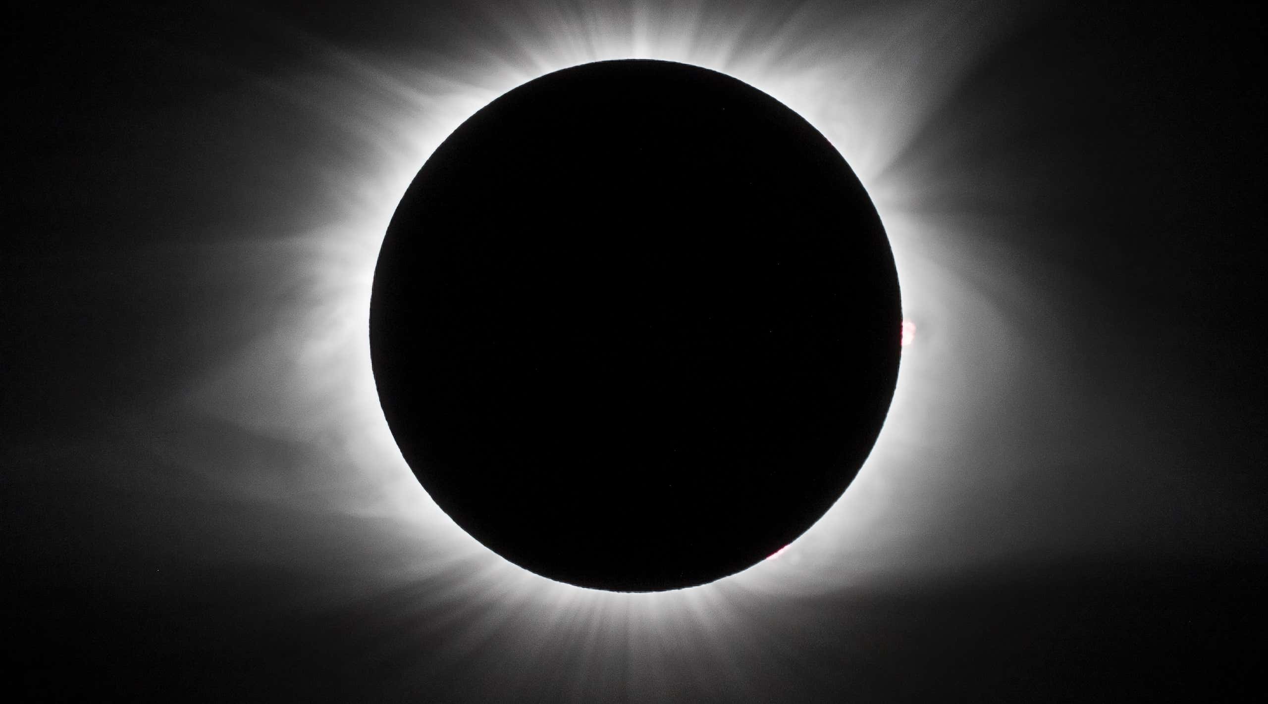 New Scientist. Science news and long reads from expert journalists, covering developments in science, technology, health and the environment on the website and the magazine.