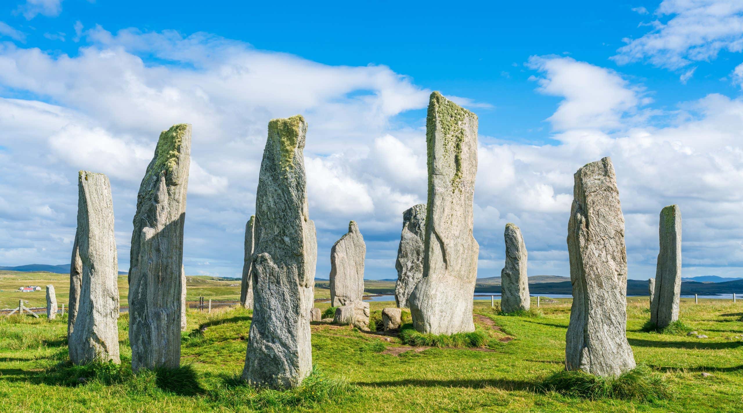 New Scientist. Science news and long reads from expert journalists, covering developments in science, technology, health and the environment on the website and the magazine.