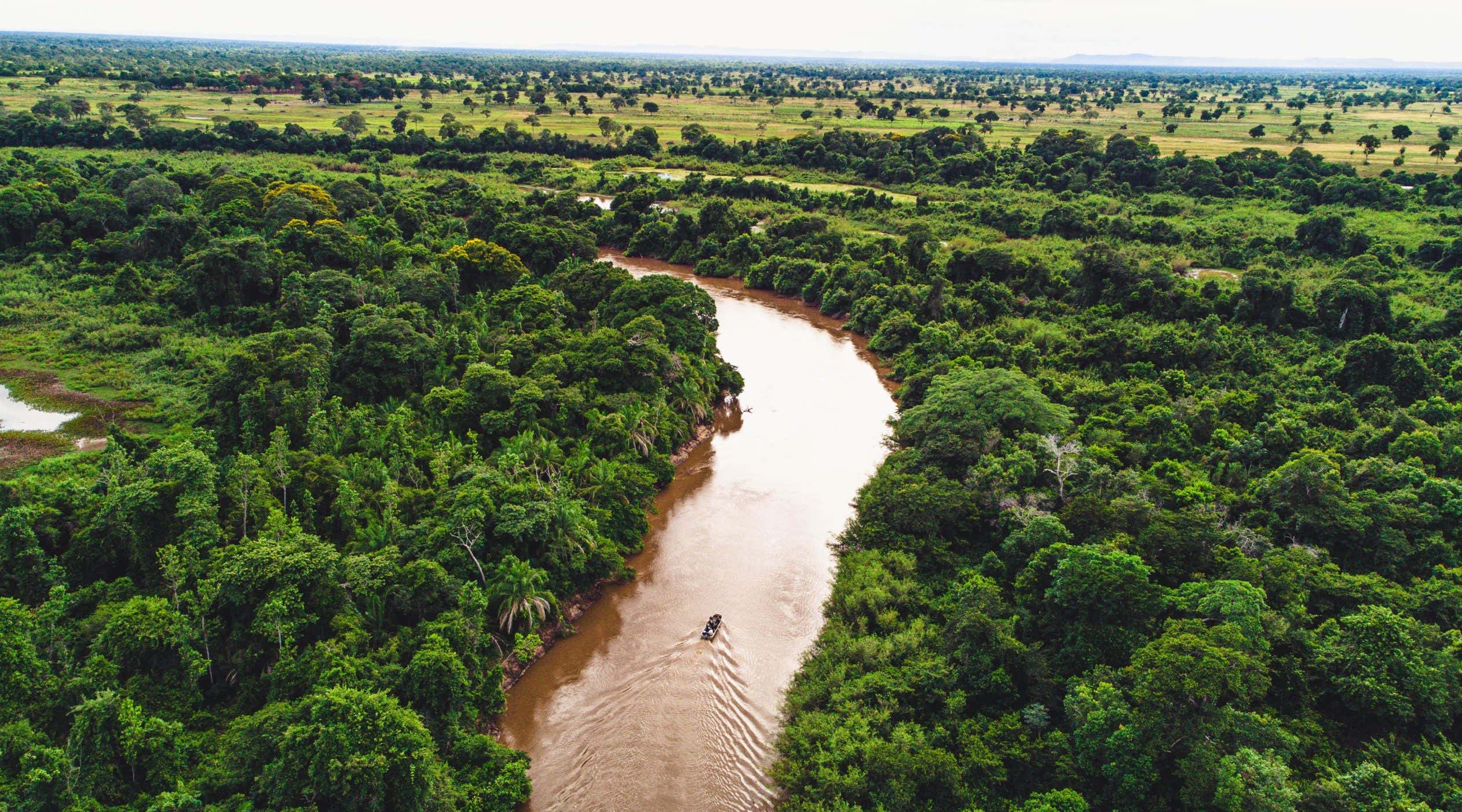 New Scientist. Science news and long reads from expert journalists, covering developments in science, technology, health and the environment on the website and the magazine.