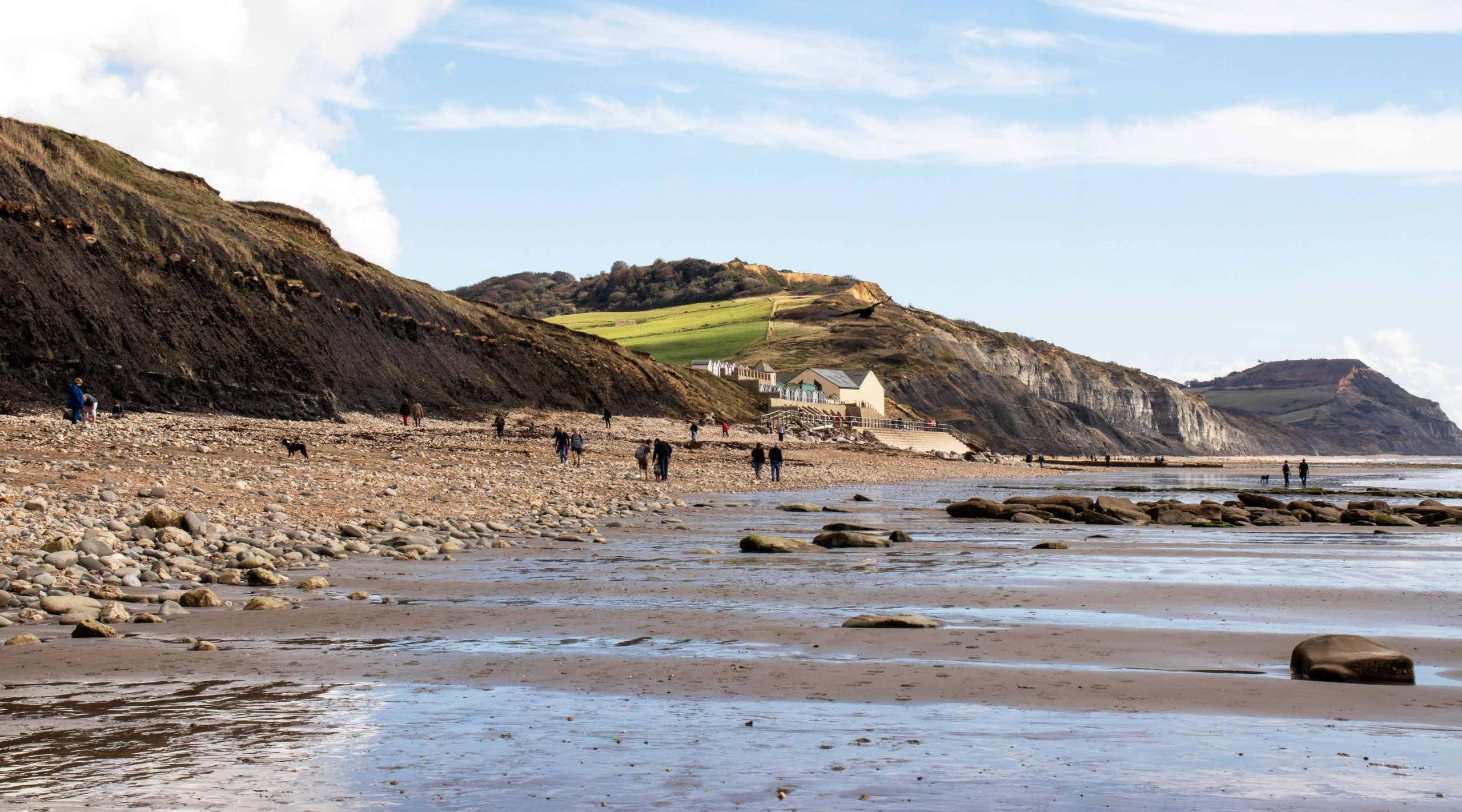 New Scientist. Science news and long reads from expert journalists, covering developments in science, technology, health and the environment on the website and the magazine.