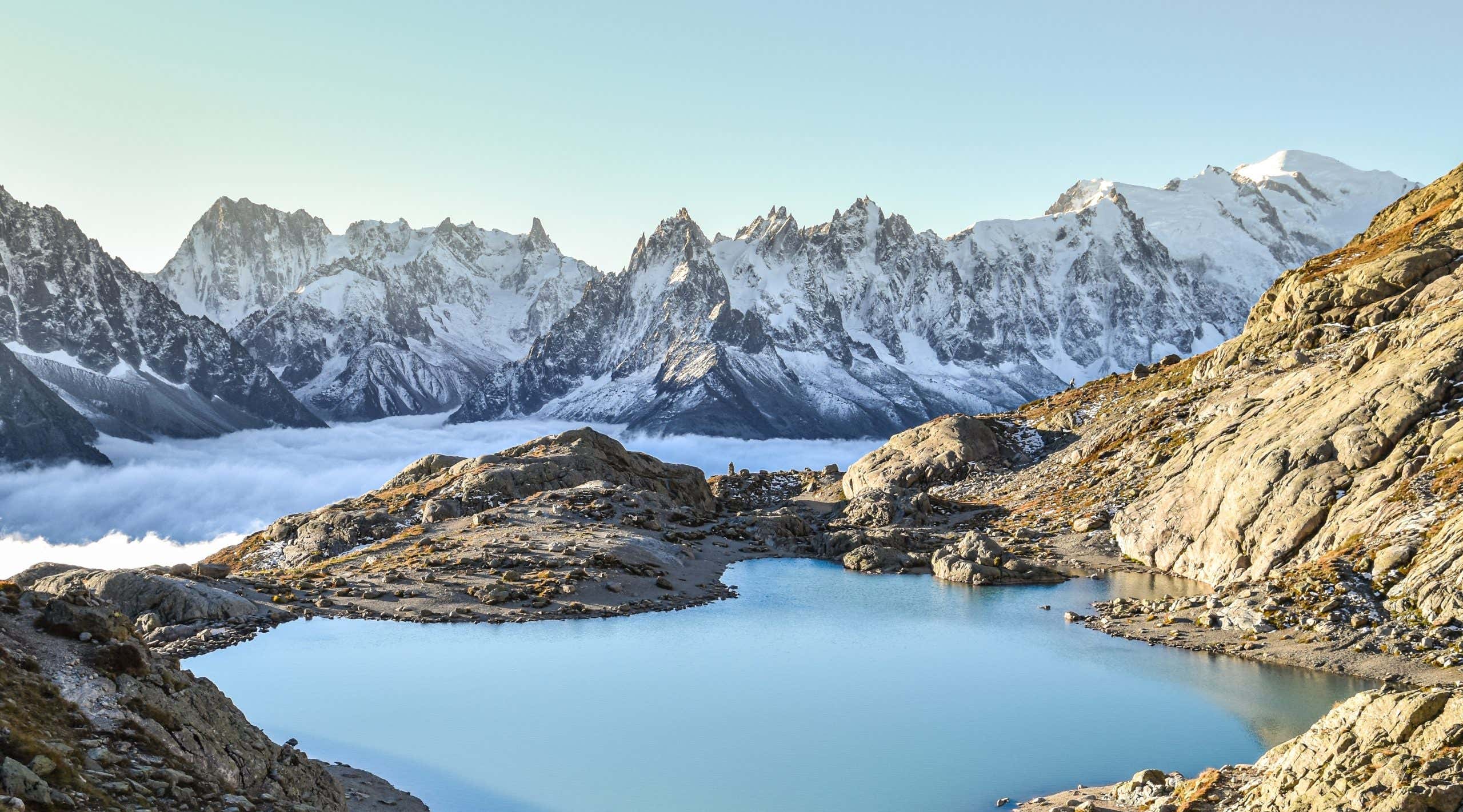 New Scientist. Science news and long reads from expert journalists, covering developments in science, technology, health and the environment on the website and the magazine.