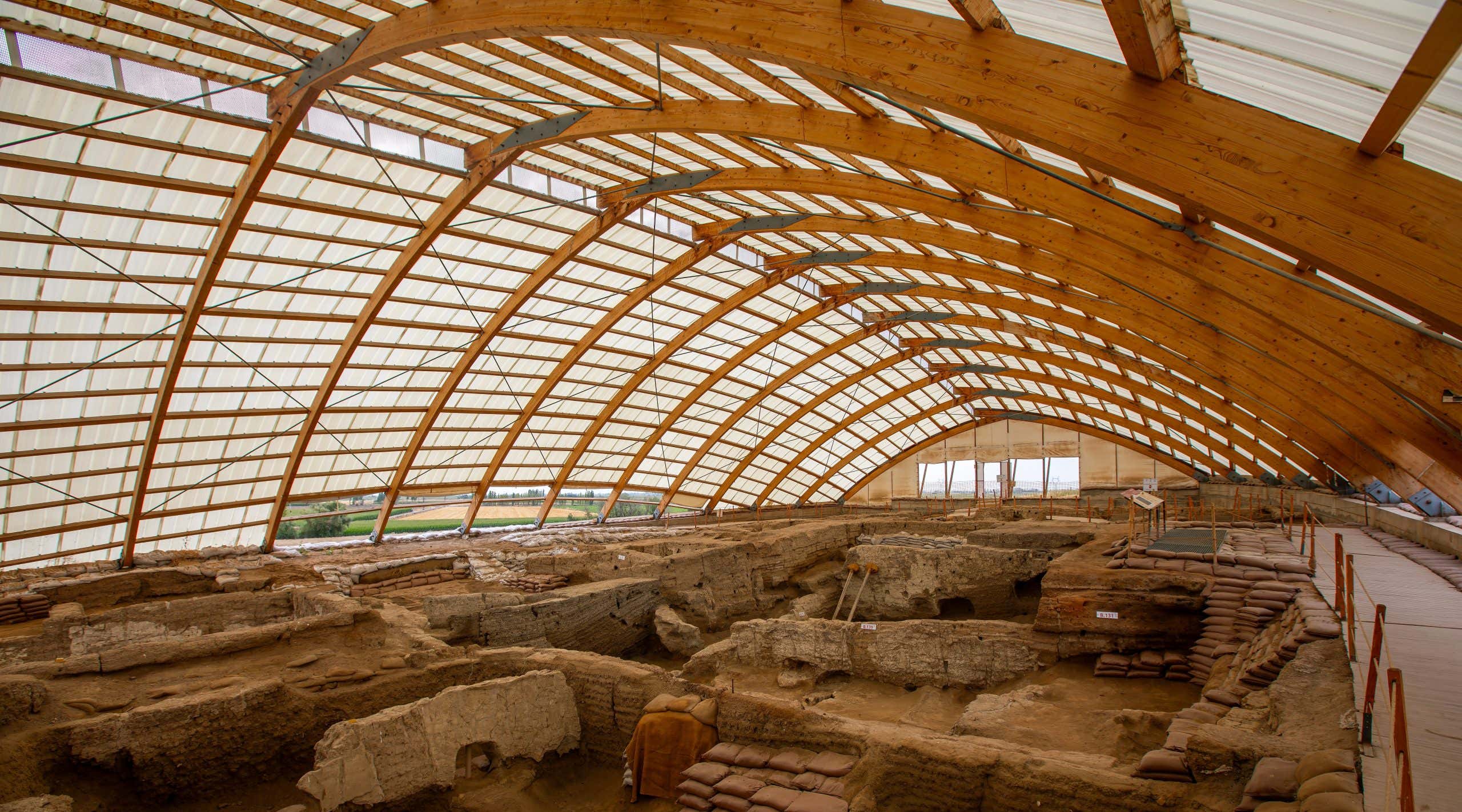 New Scientist. Science news and long reads from expert journalists, covering developments in science, technology, health and the environment on the website and the magazine.