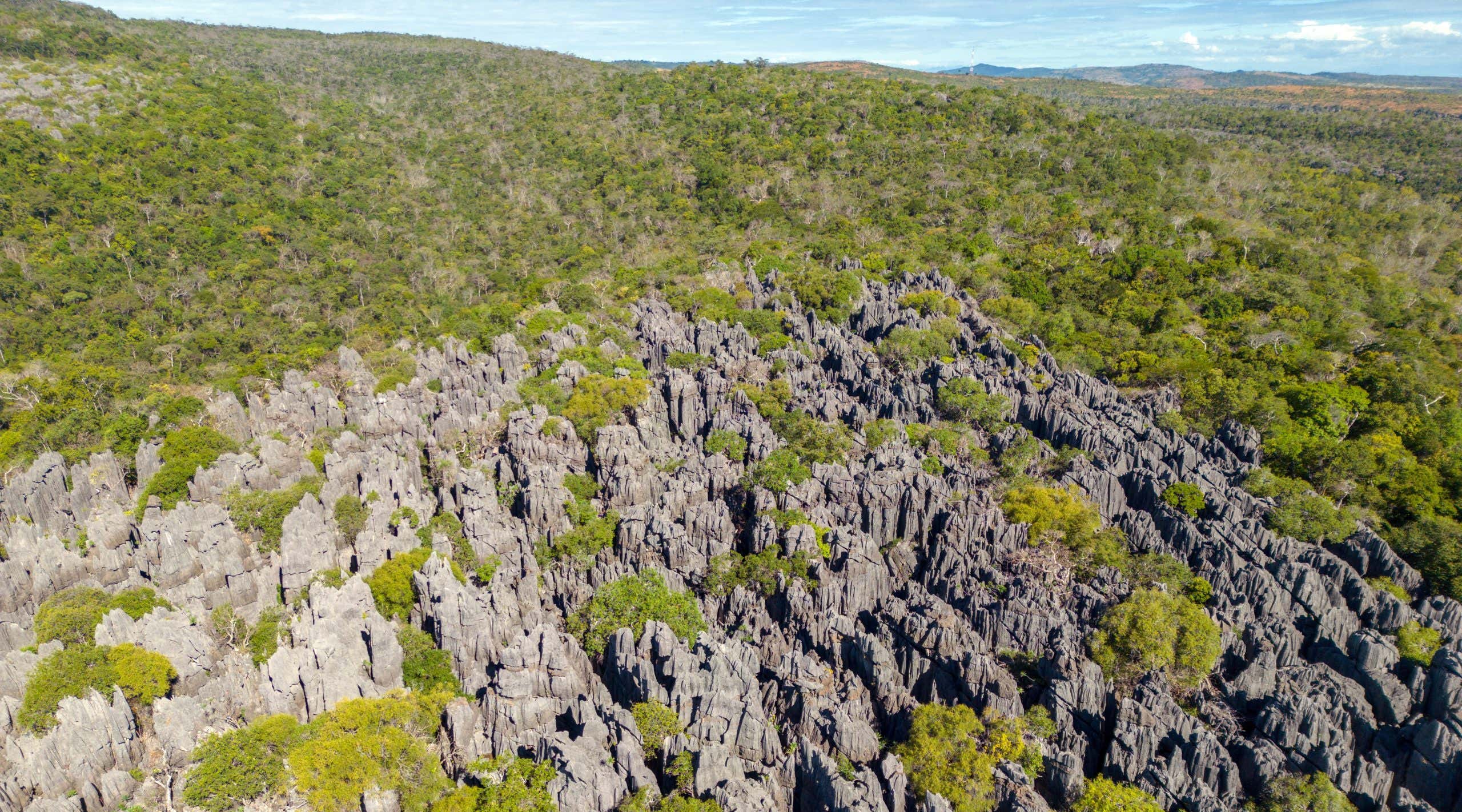 New Scientist. Science news and long reads from expert journalists, covering developments in science, technology, health and the environment on the website and the magazine.