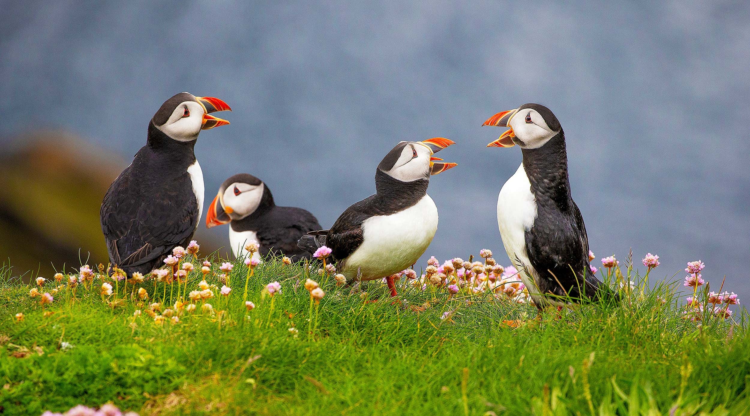 New Scientist. Science news and long reads from expert journalists, covering developments in science, technology, health and the environment on the website and the magazine.